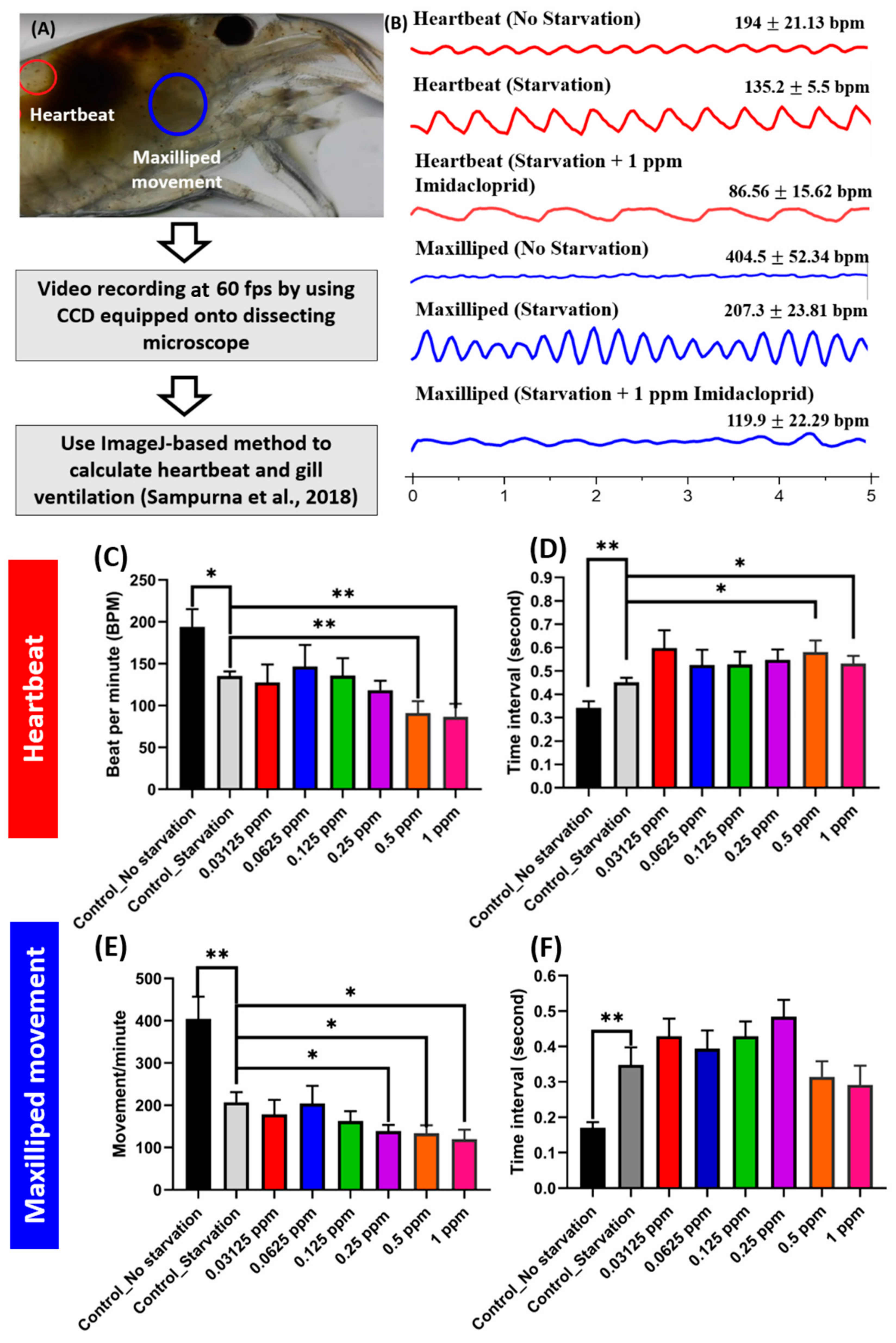 Antioxidants 10 00391 g003