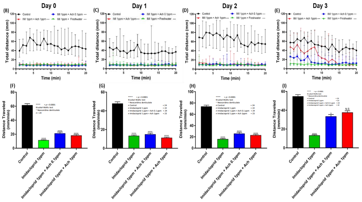Antioxidants 10 00391 g006b