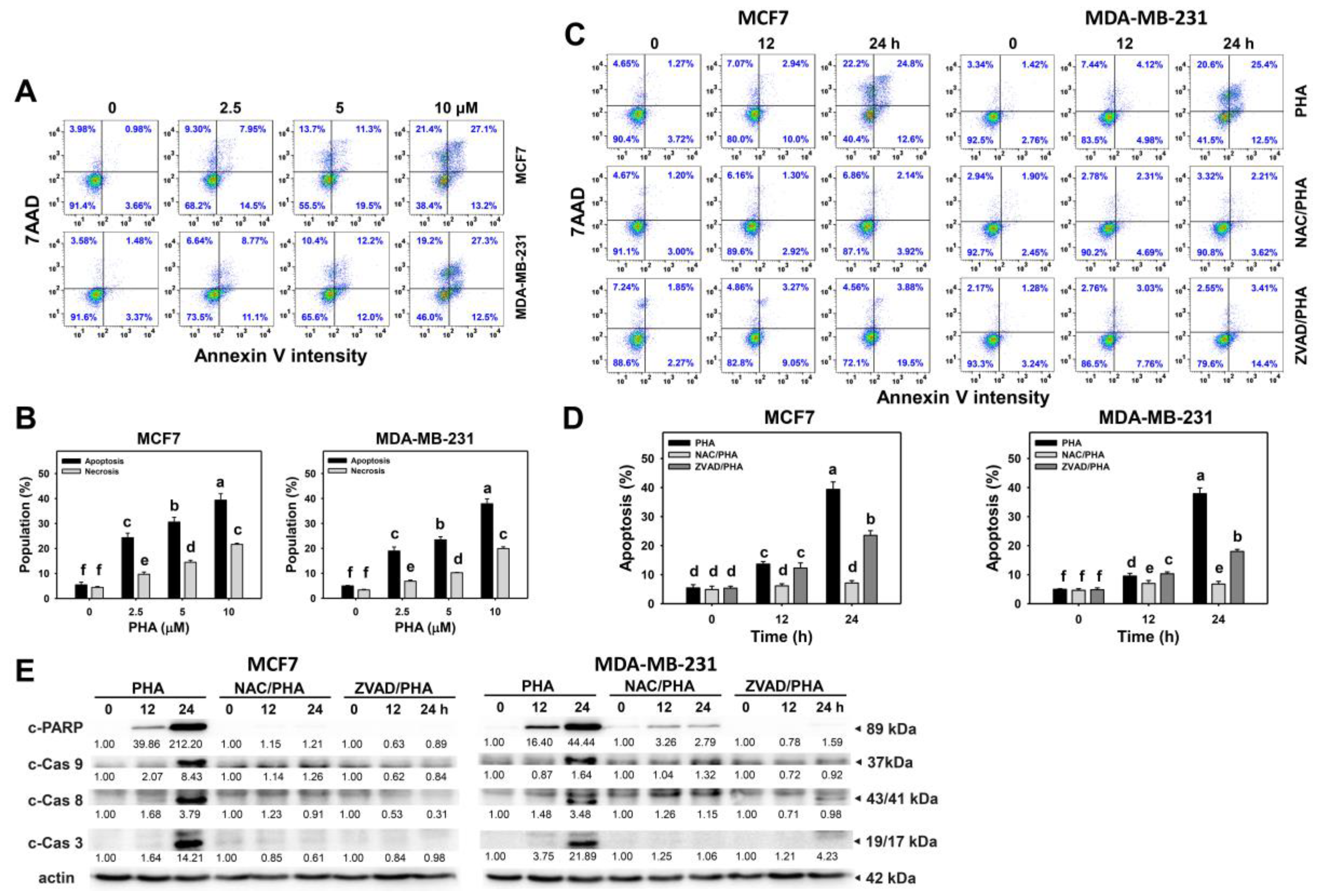 Antioxidants 10 00393 g003