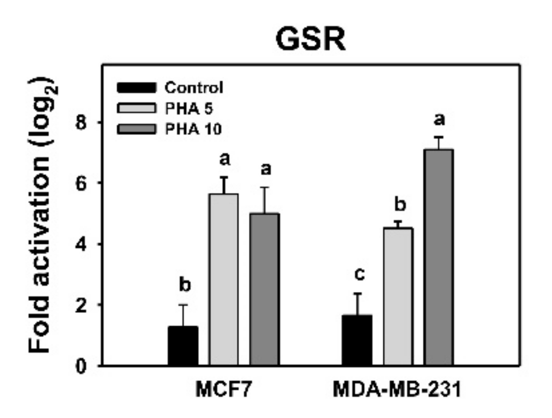 Antioxidants 10 00393 g007