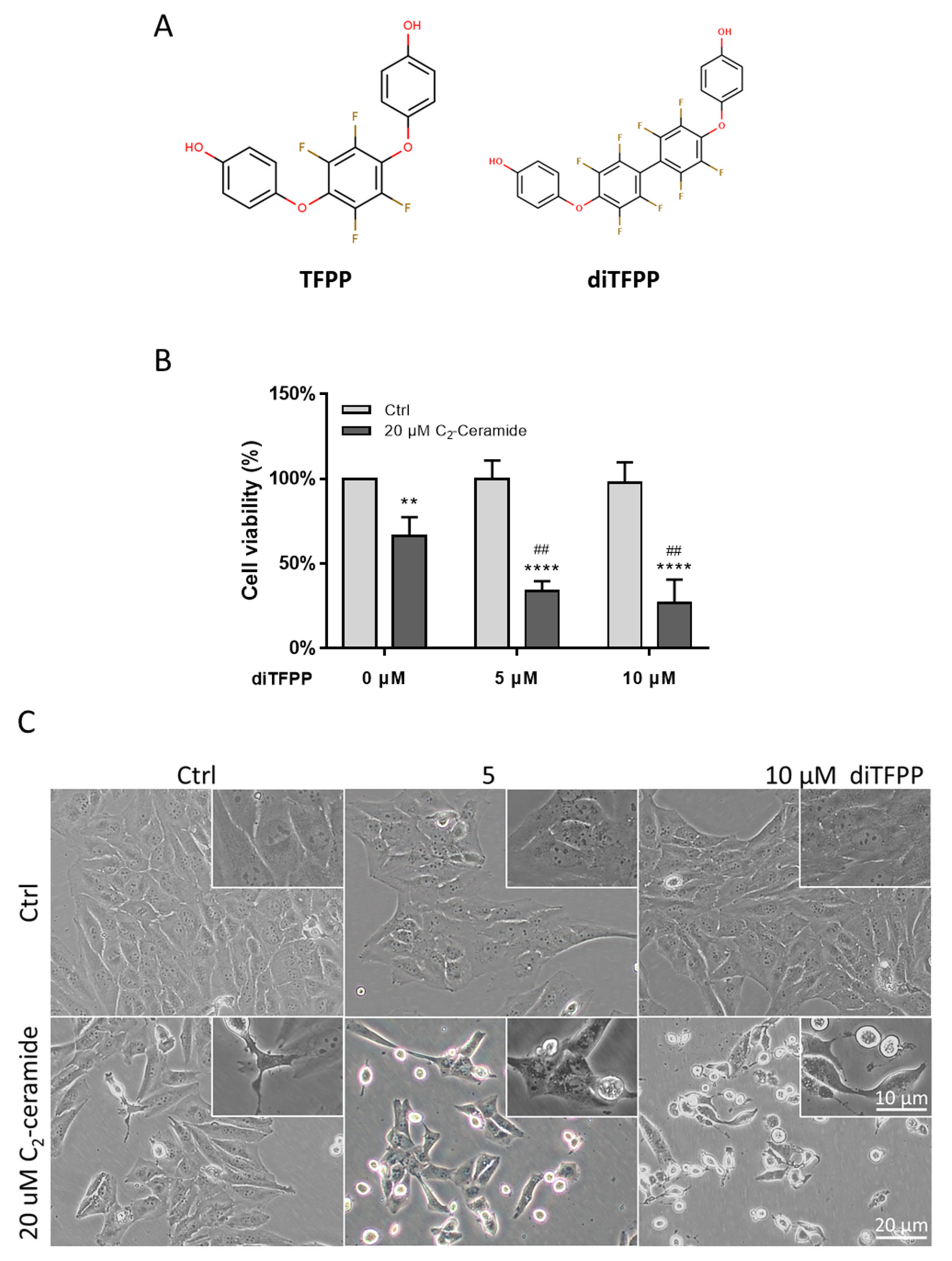 Antioxidants 10 00394 g001 Antioxidants 10 00394 g001