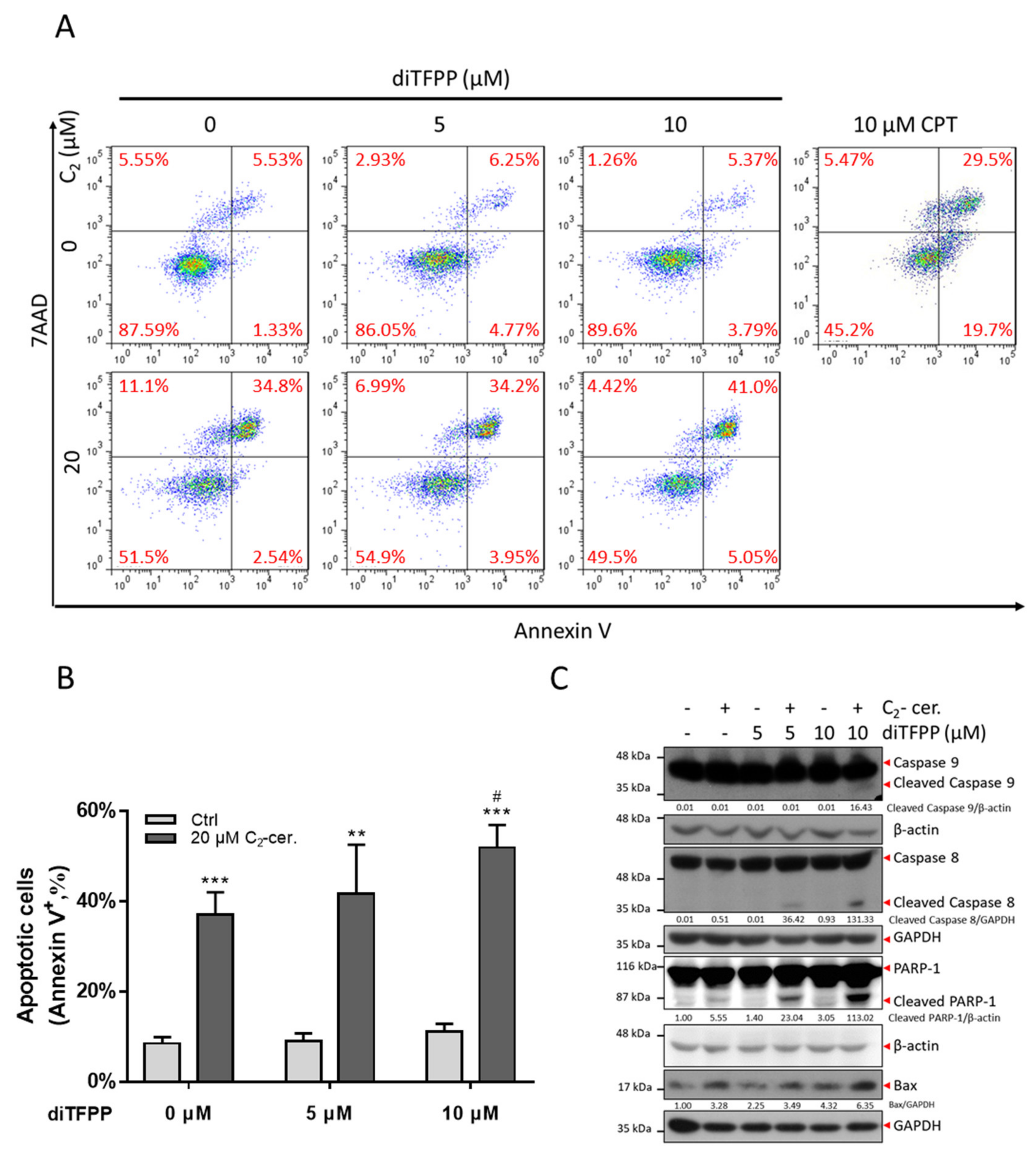 Antioxidants 10 00394 g002 Antioxidants 10 00394 g002