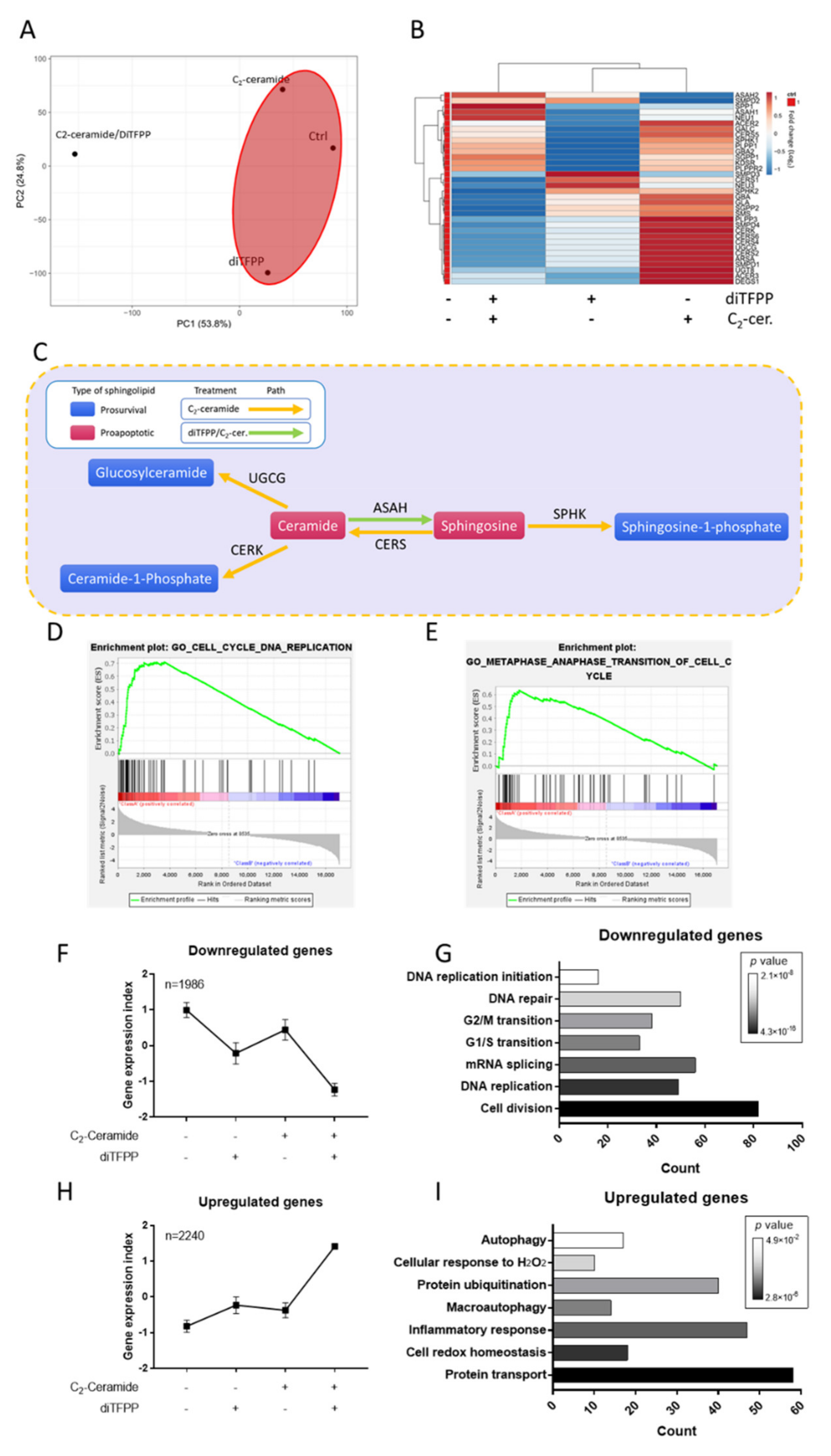 Antioxidants 10 00394 g003 Antioxidants 10 00394 g003