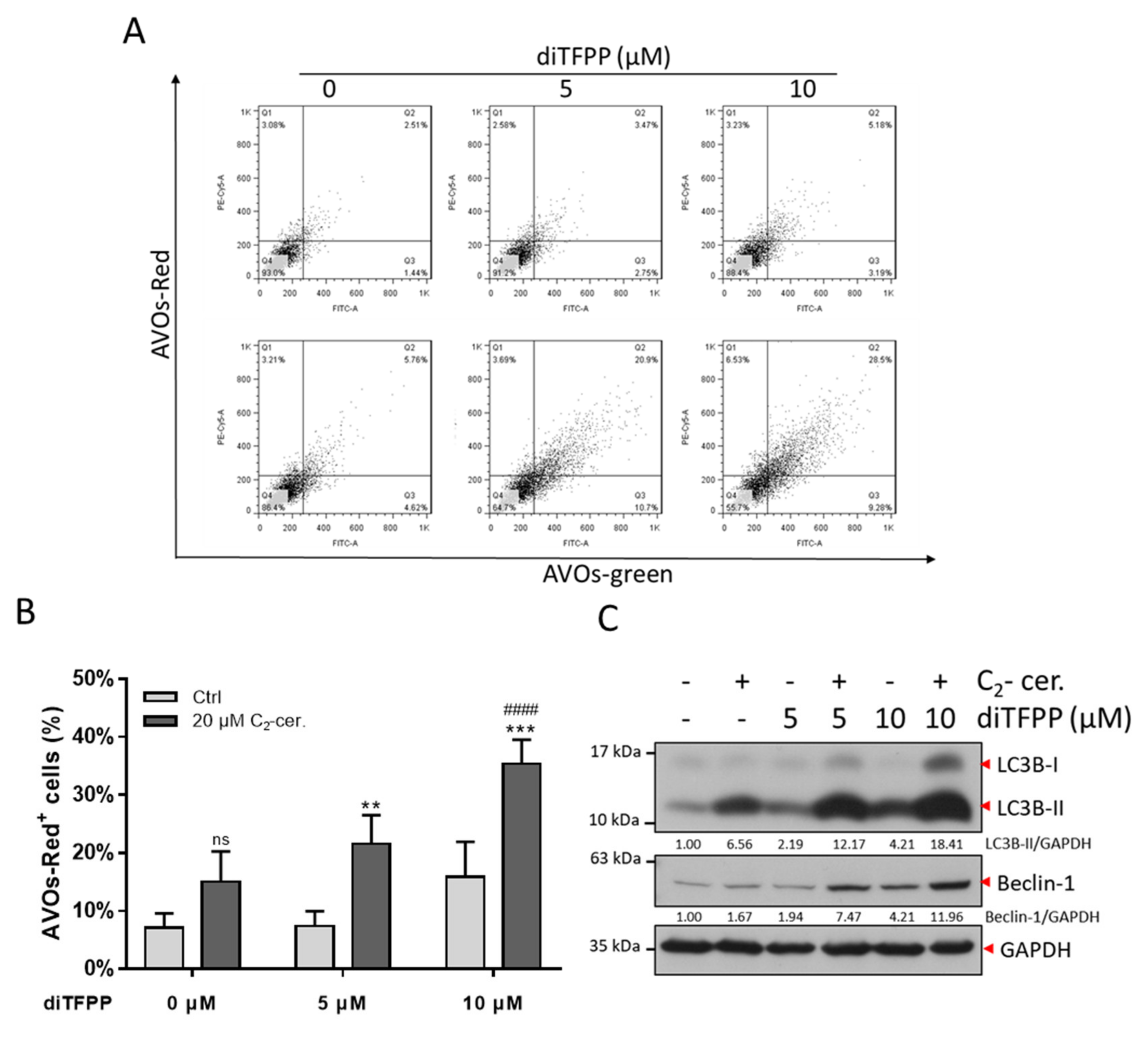 Antioxidants 10 00394 g004 Antioxidants 10 00394 g004