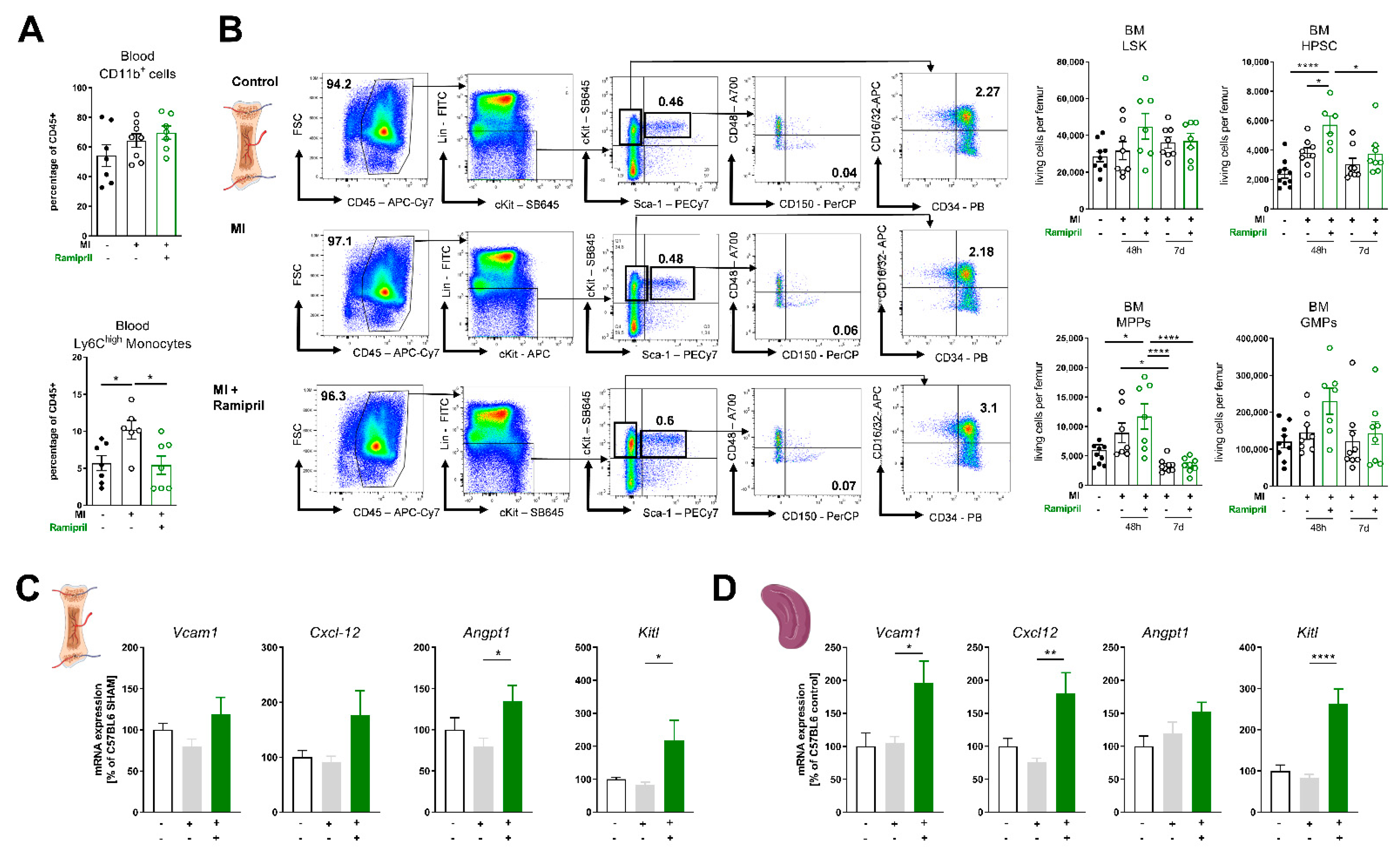 Antioxidants 10 00396 g002 Antioxidants 10 00396 g002