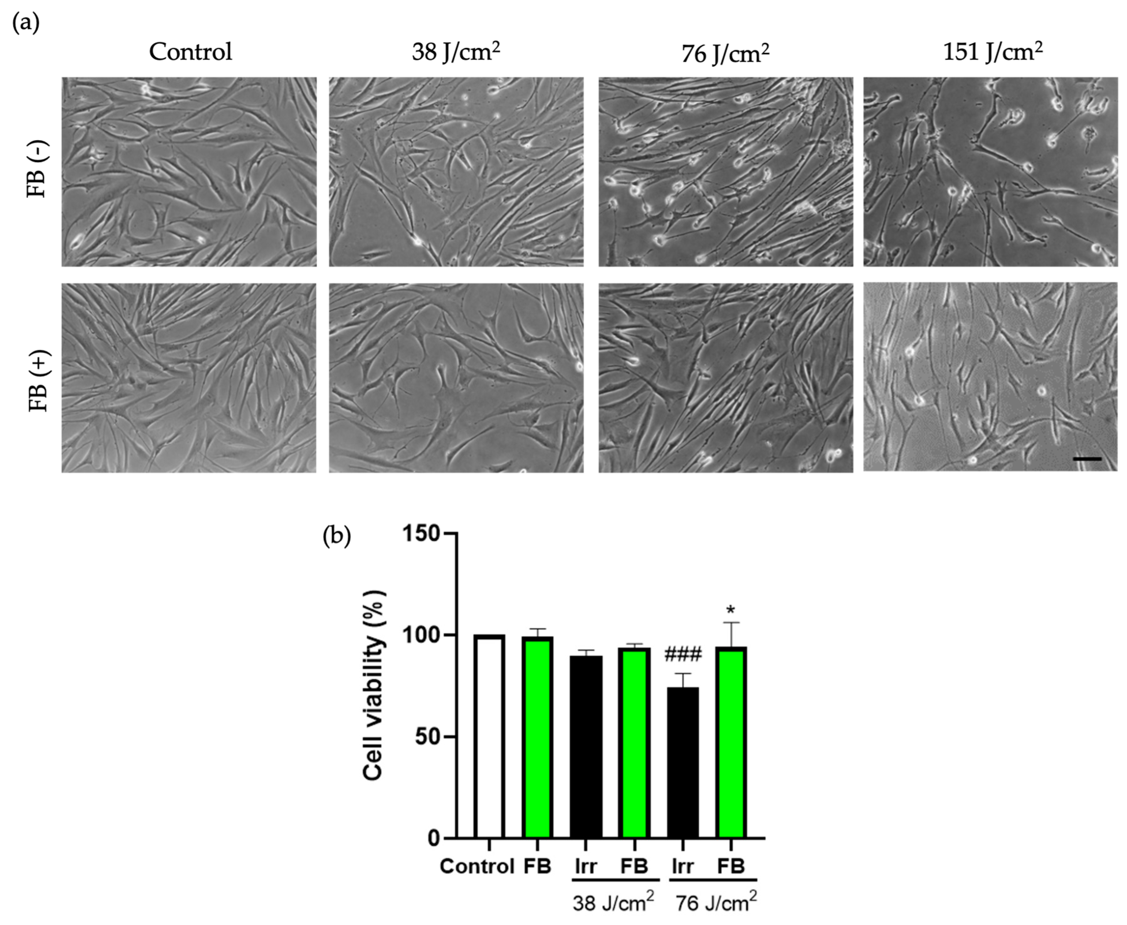 Antioxidants 10 00400 g001