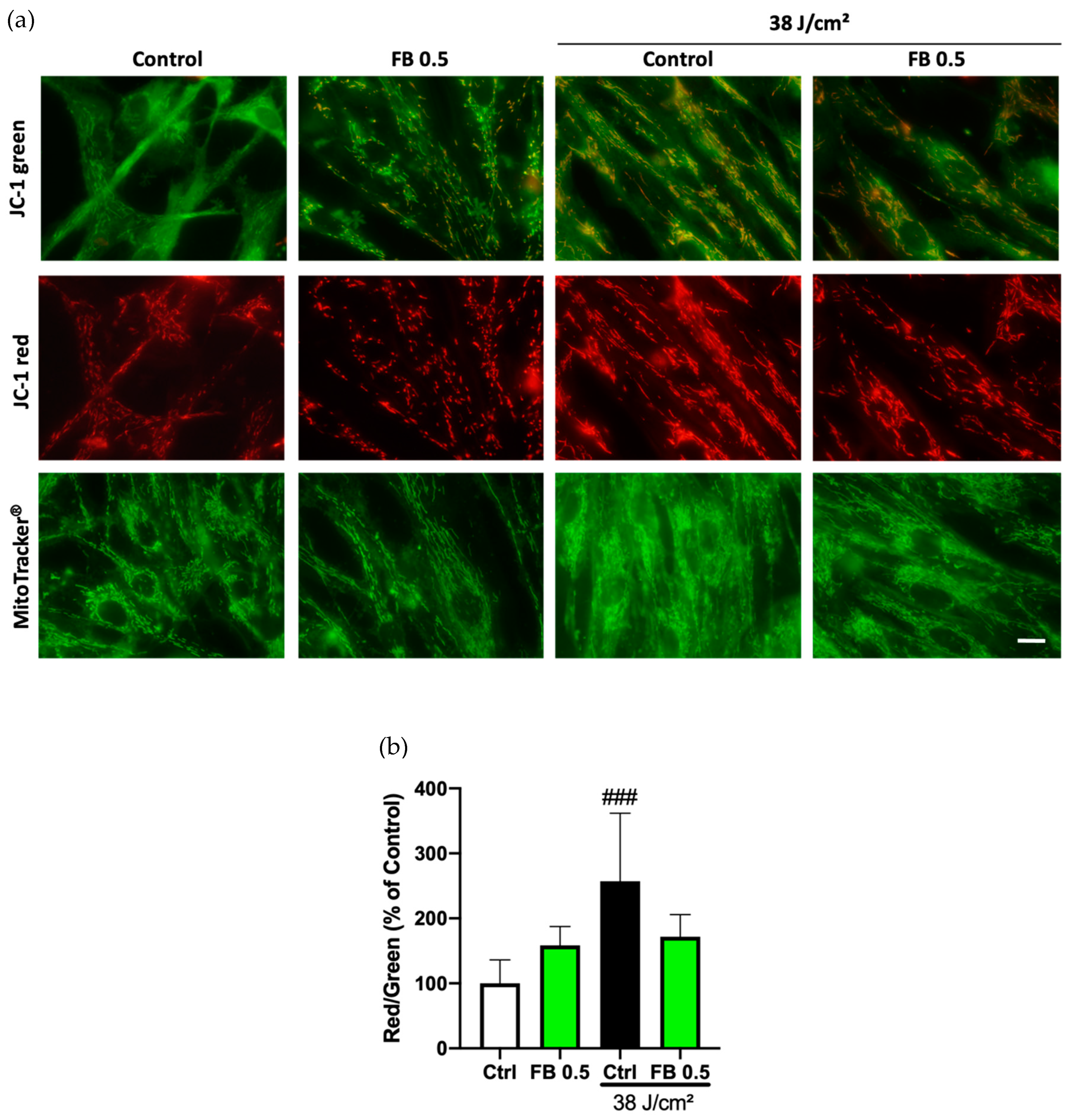 Antioxidants 10 00400 g003