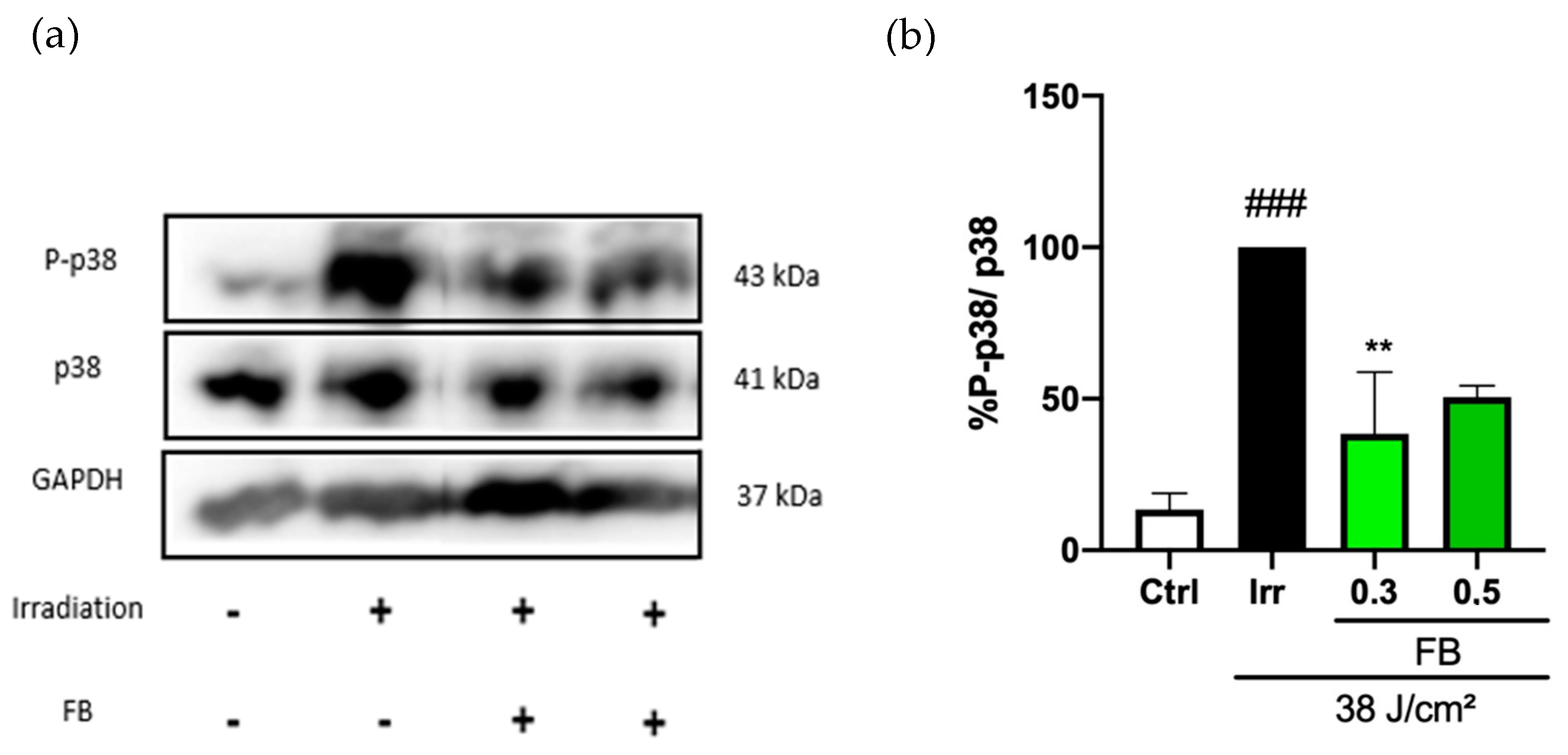 Antioxidants 10 00400 g004