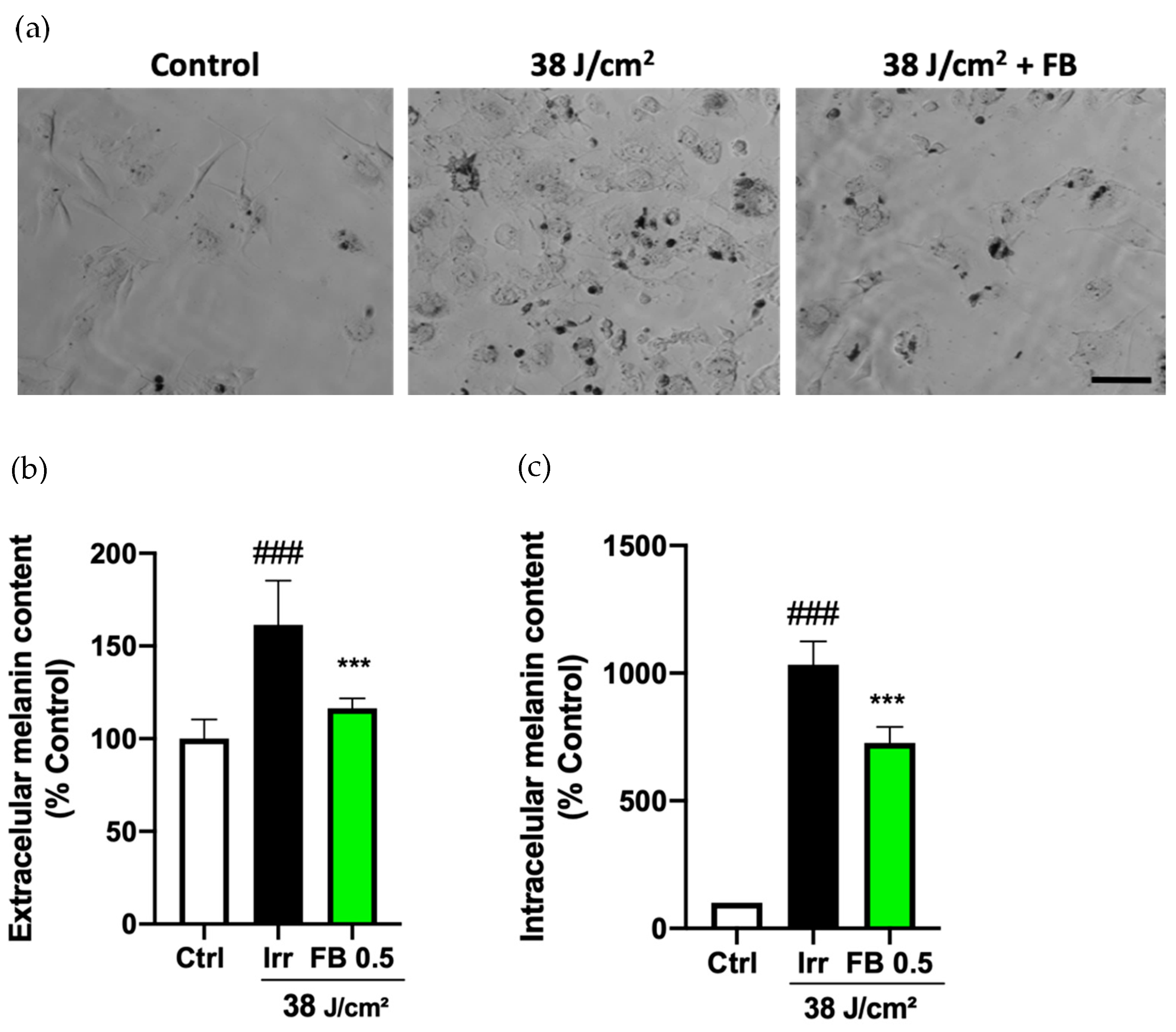 Antioxidants 10 00400 g005