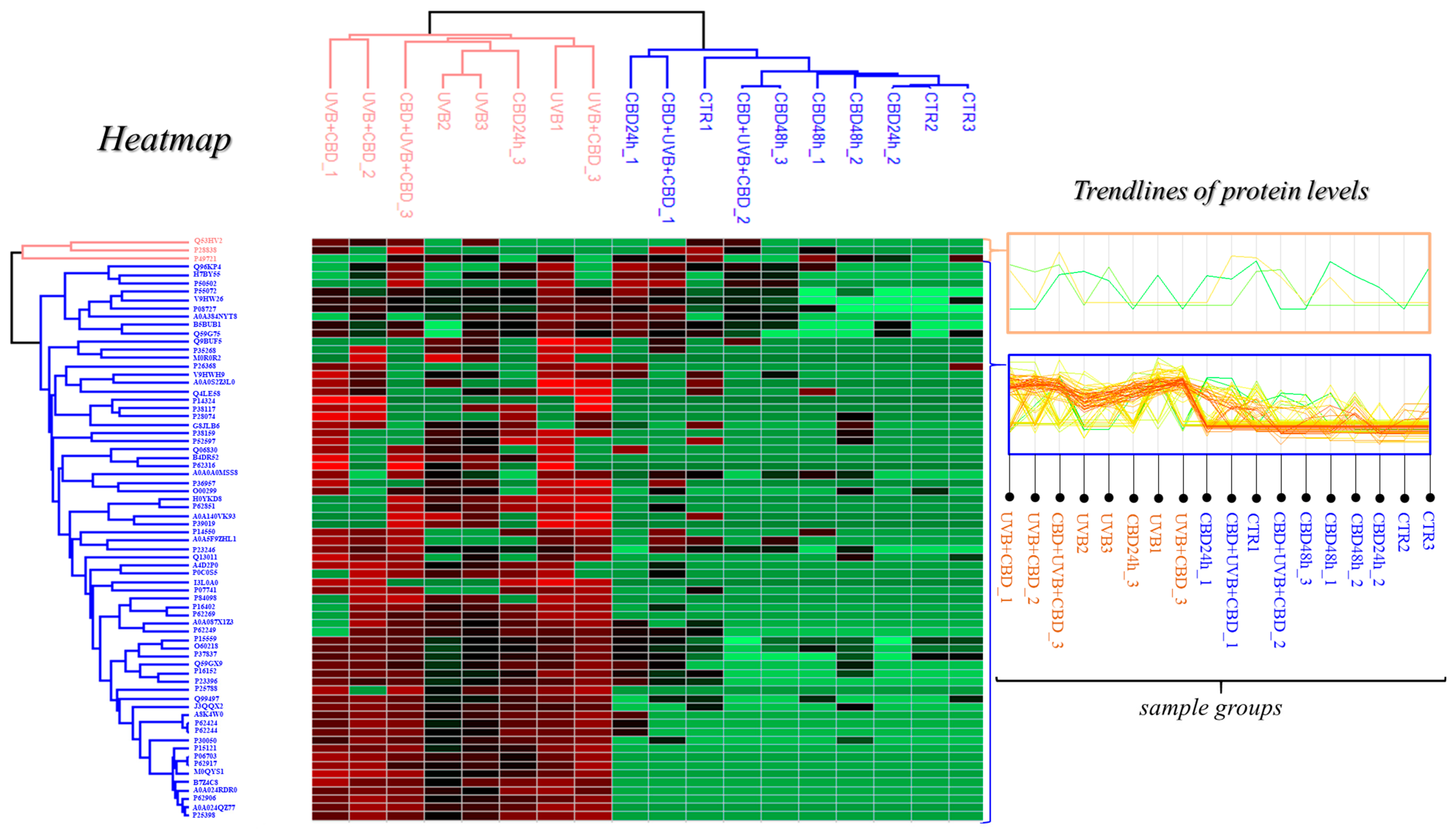 Antioxidants 10 00402 g004