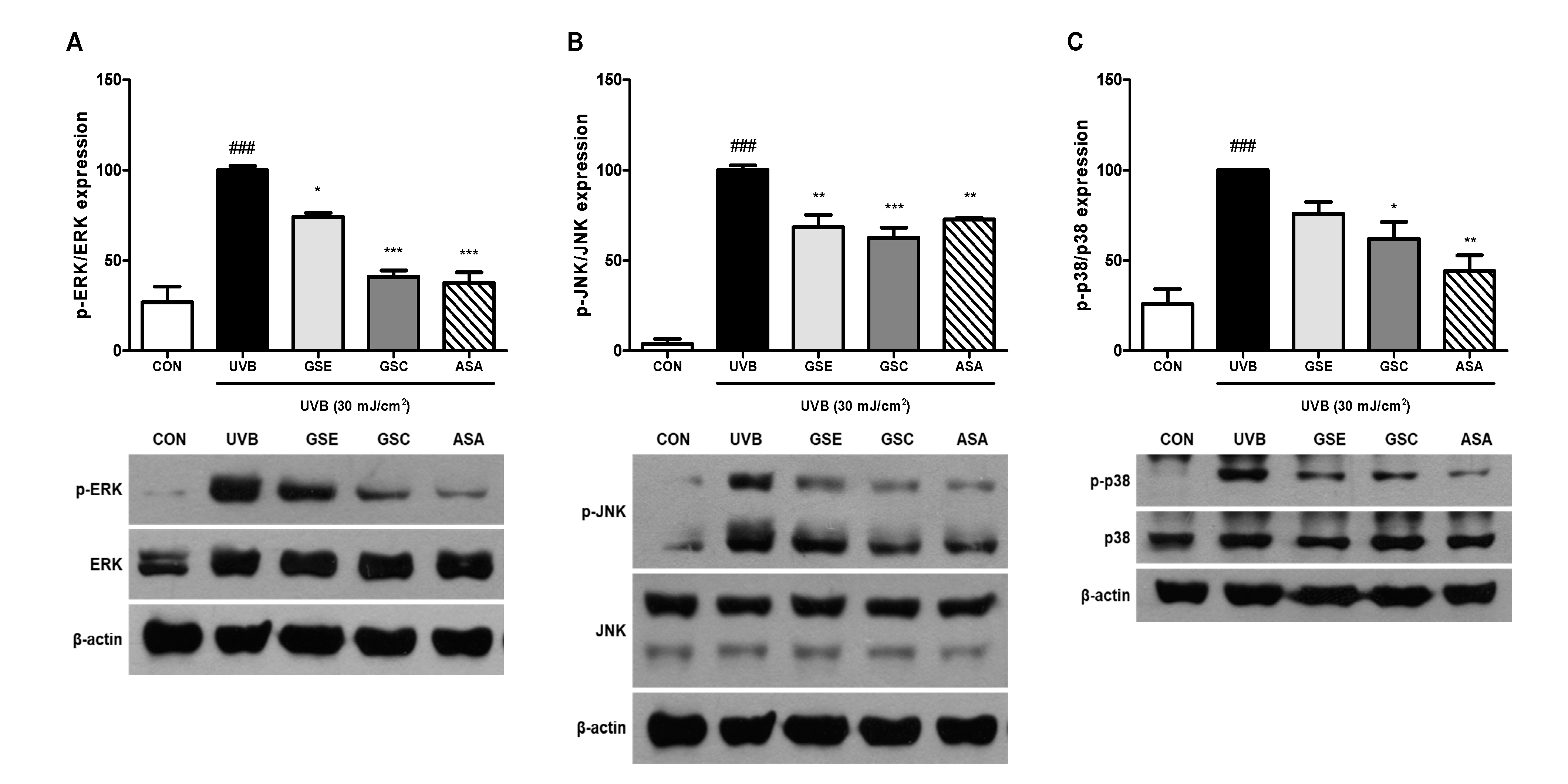 Antioxidants 10 00403 g003