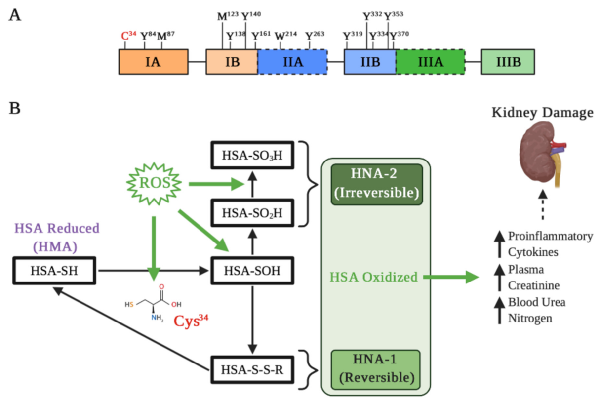 Antioxidants 10 00404 g002