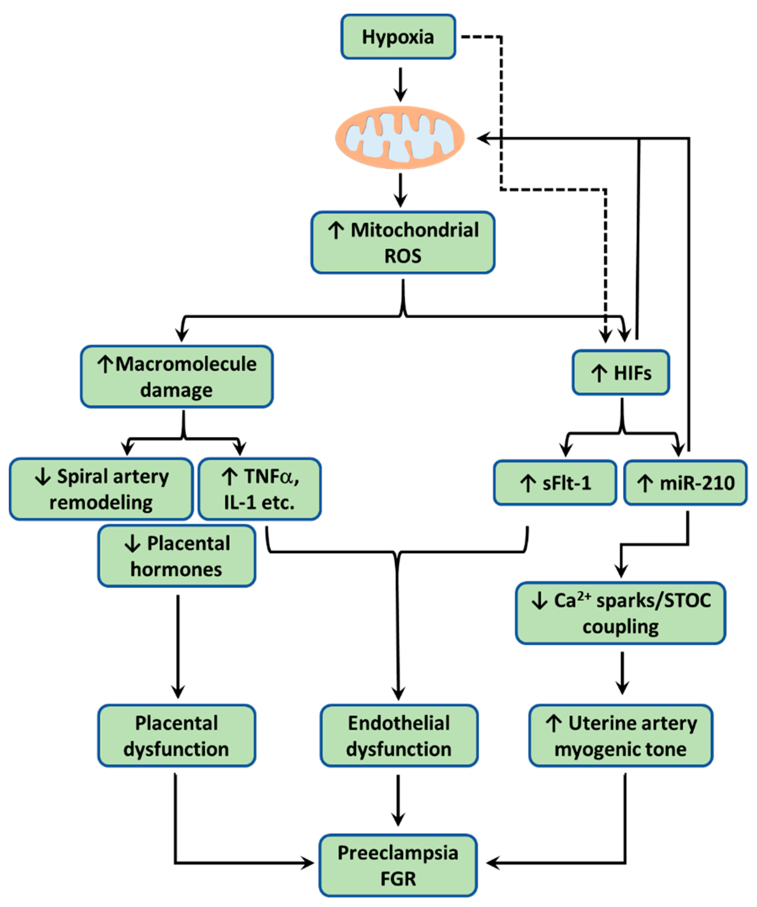 Antioxidants 10 00405 g002