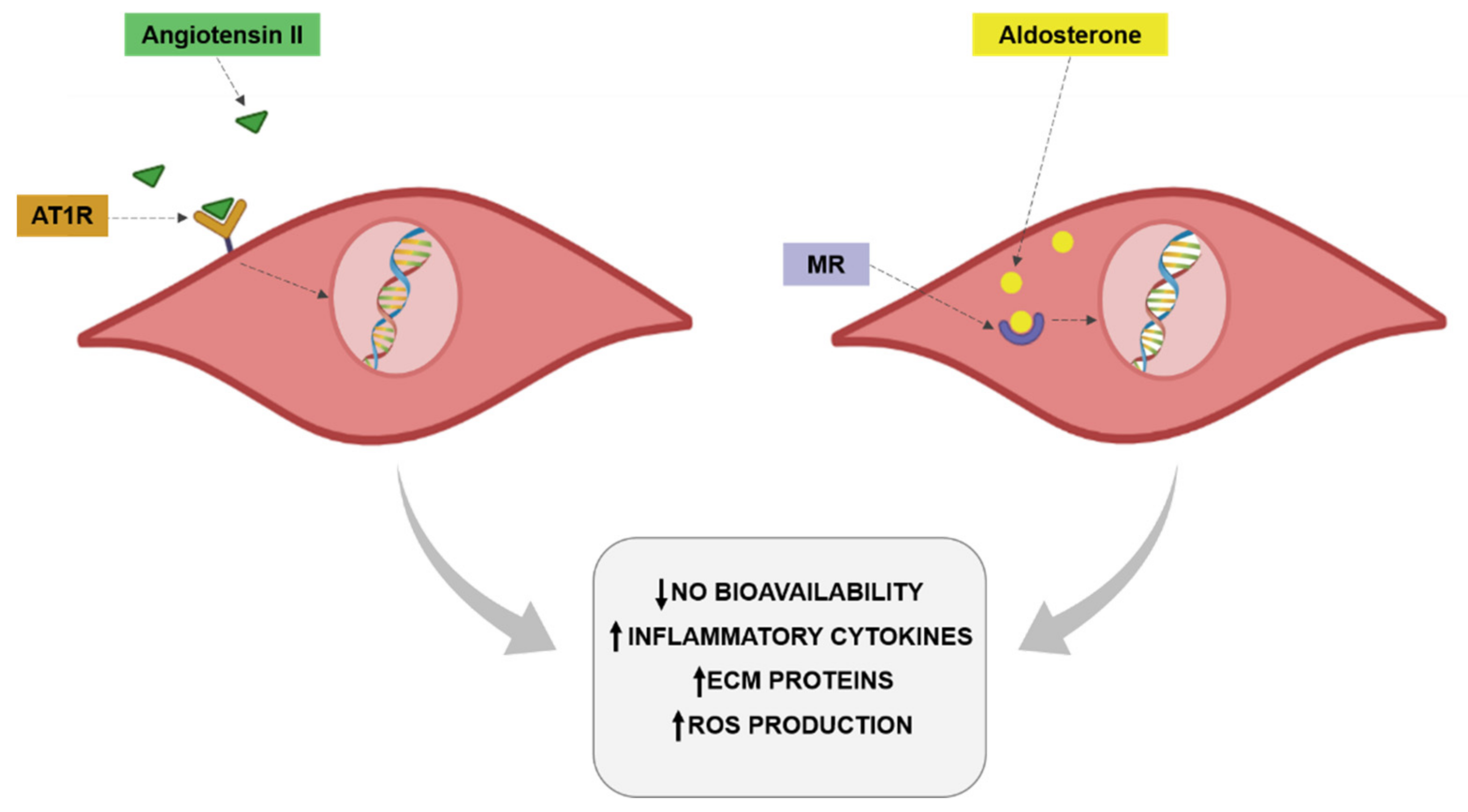 Antioxidants 10 00406 g002