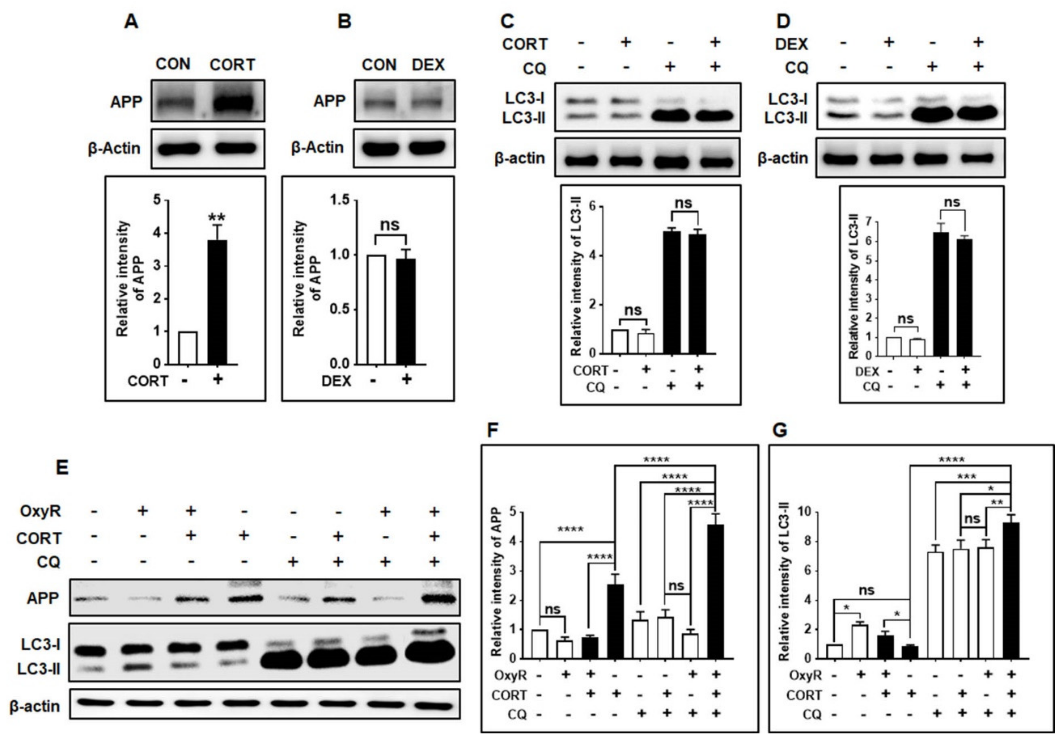 Antioxidants 10 00408 g006