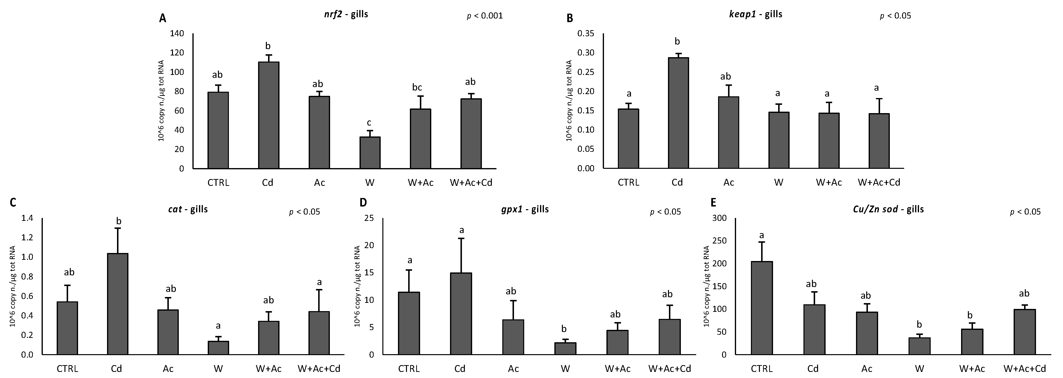 Antioxidants 10 00410 g002
