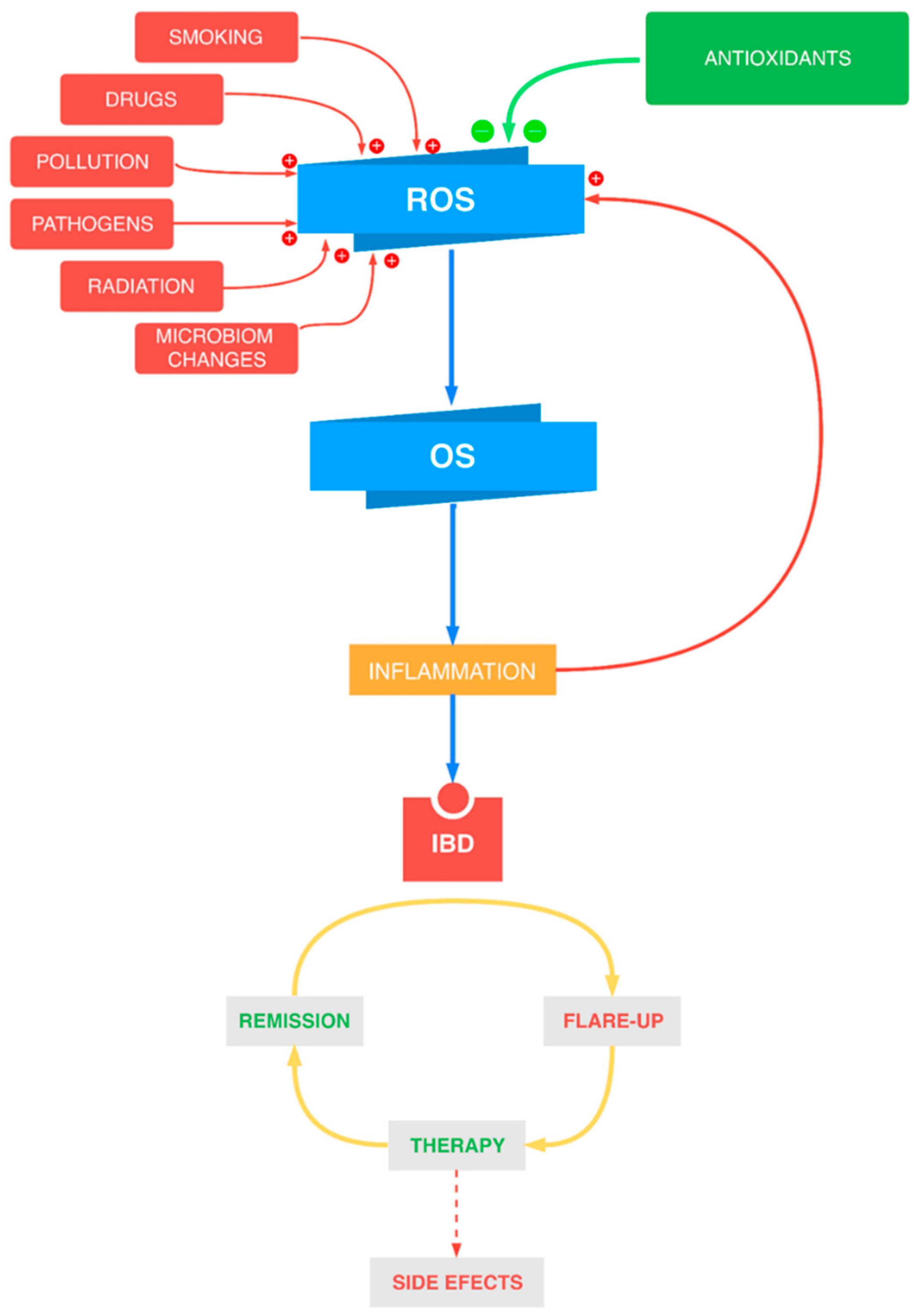 Antioxidants 10 00412 g001