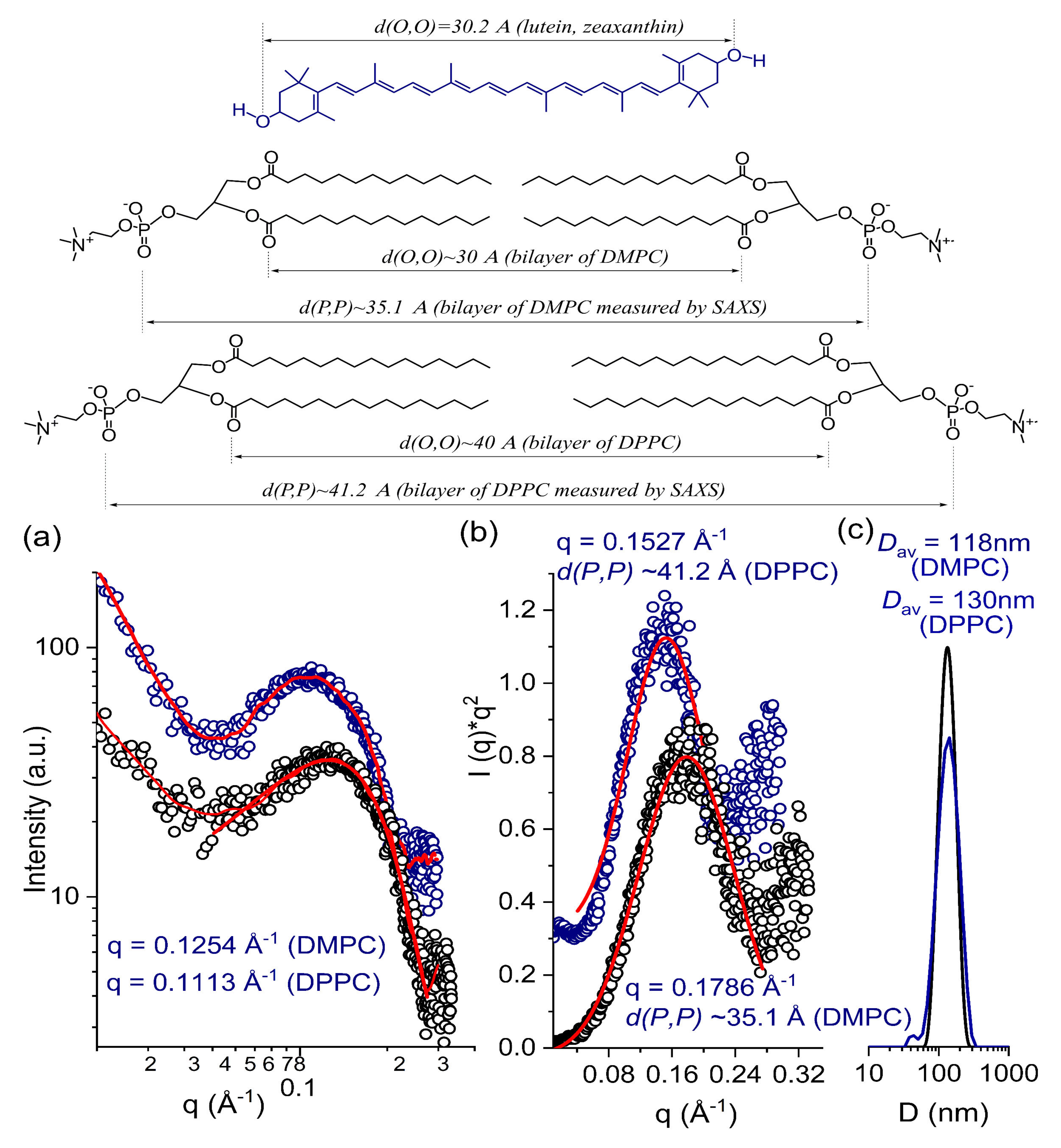 Antioxidants 10 00413 g001