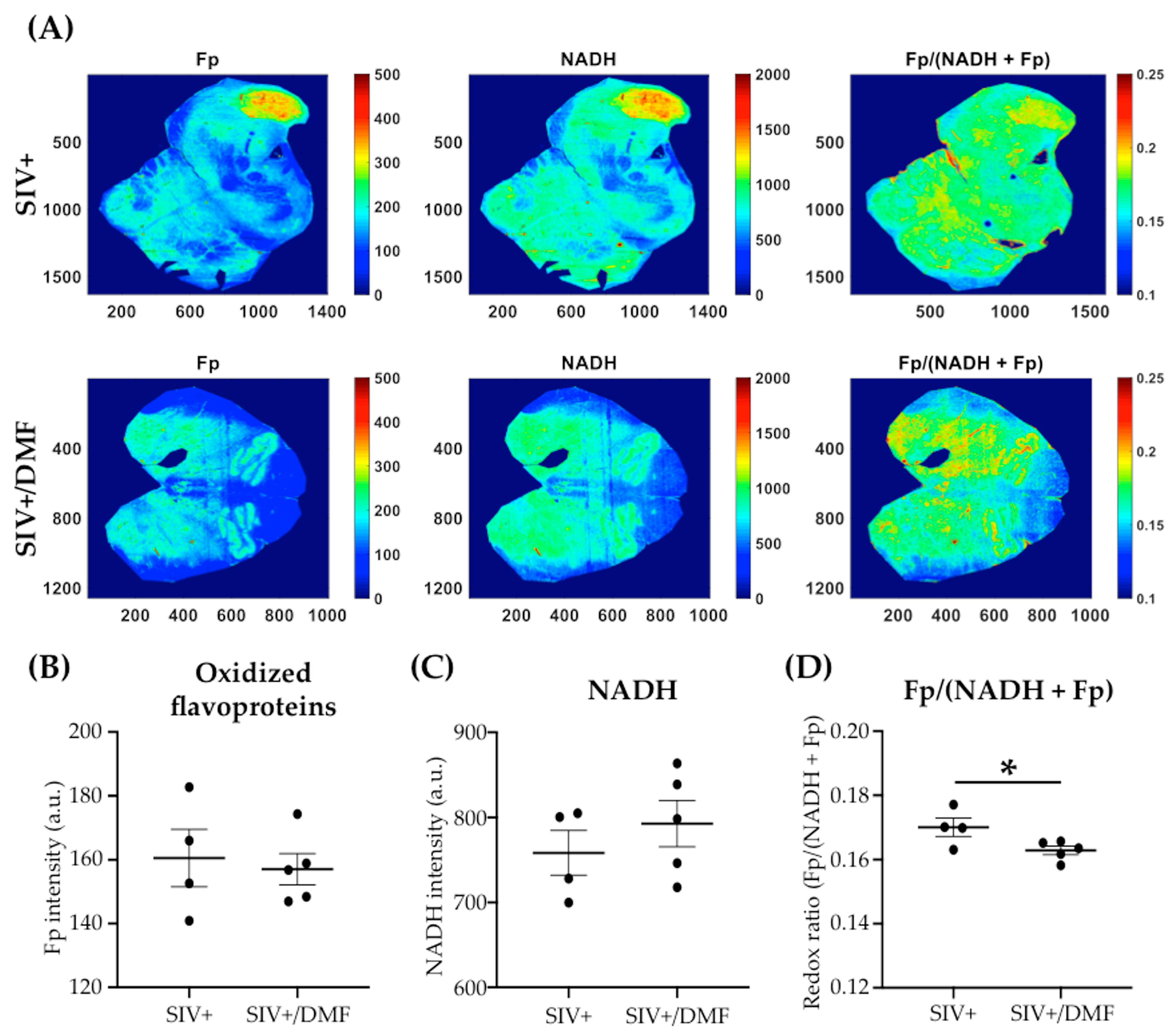 Antioxidants 10 00416 g008 Antioxidants 10 00416 g008