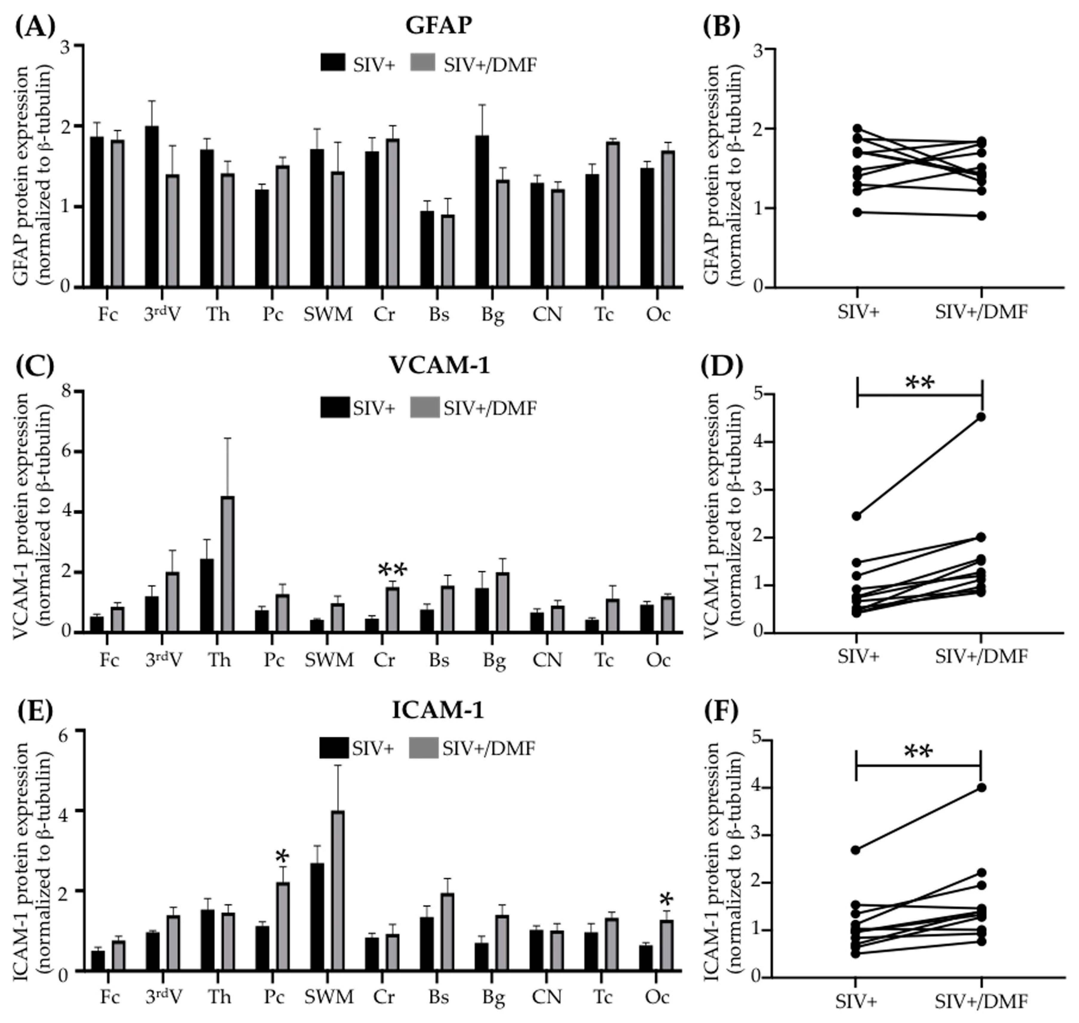 Antioxidants 10 00416 g012 Antioxidants 10 00416 g012