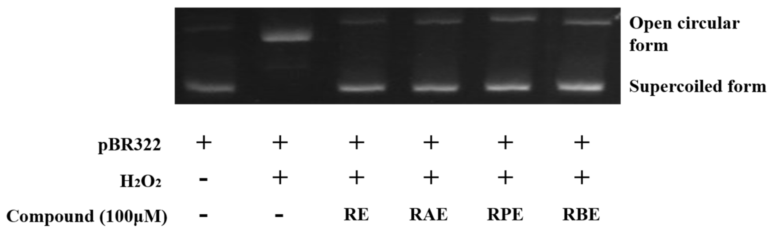 Antioxidants 10 00420 g005