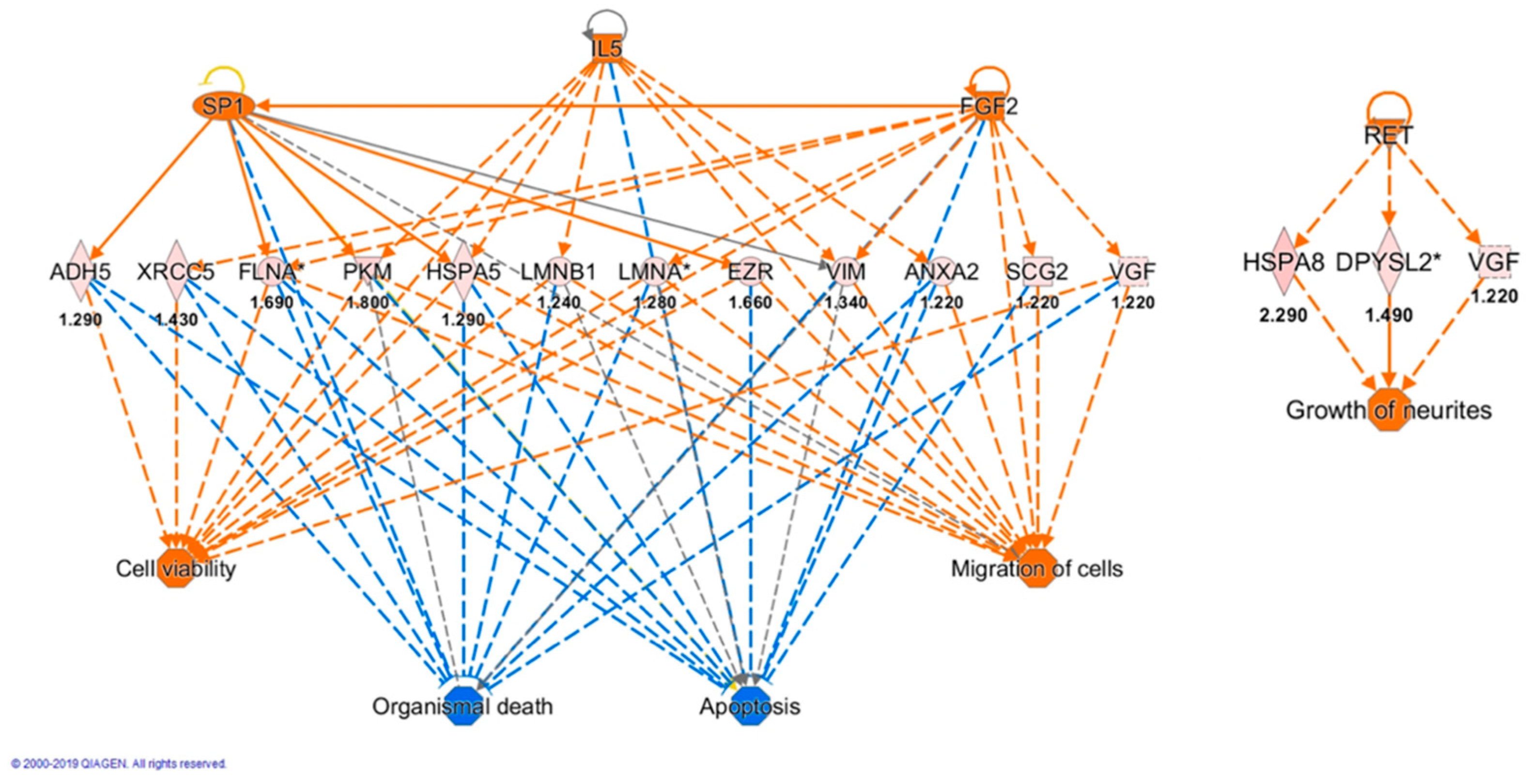 Antioxidants 10 00421 g007