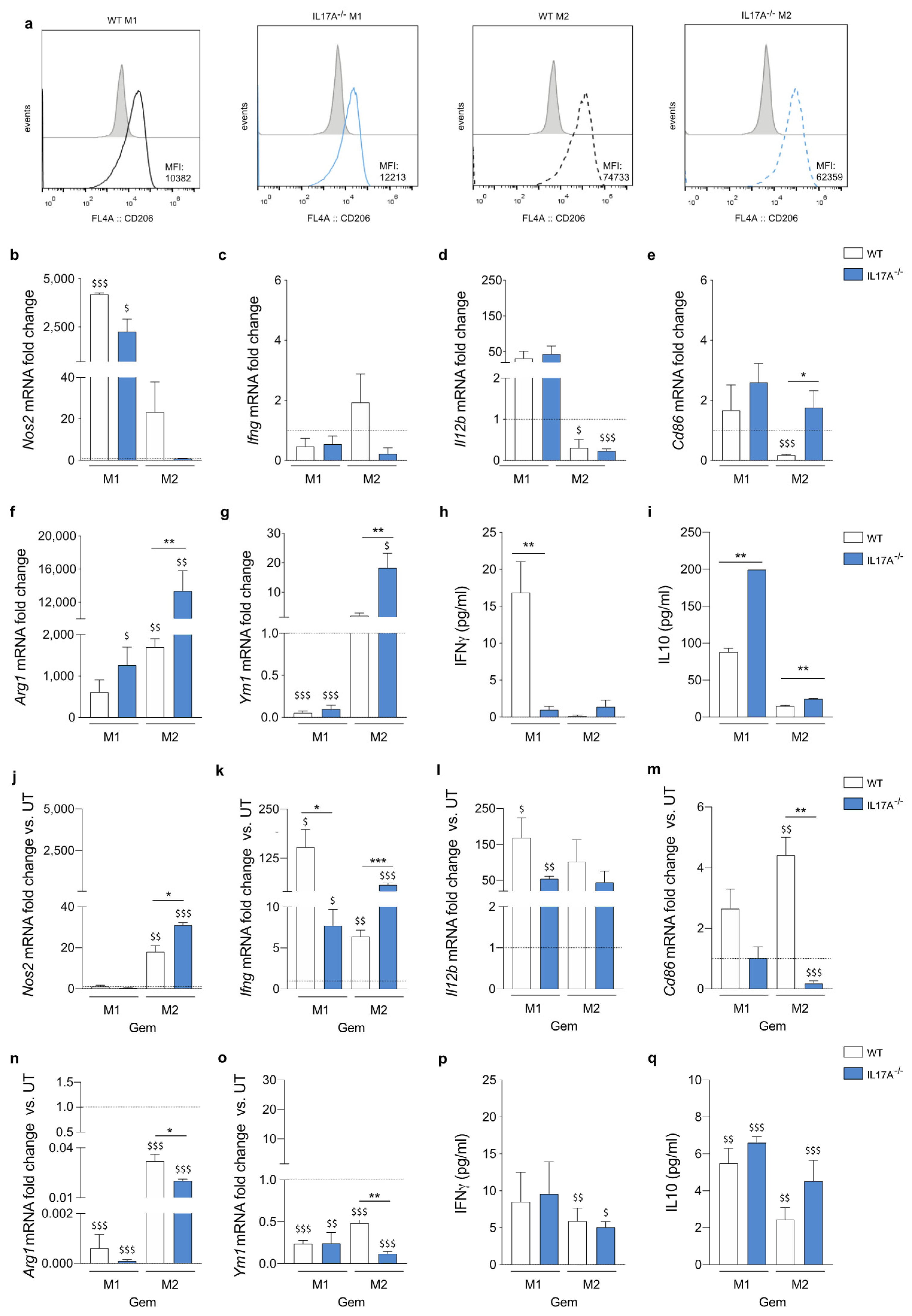 Antioxidants 10 00422 g002
