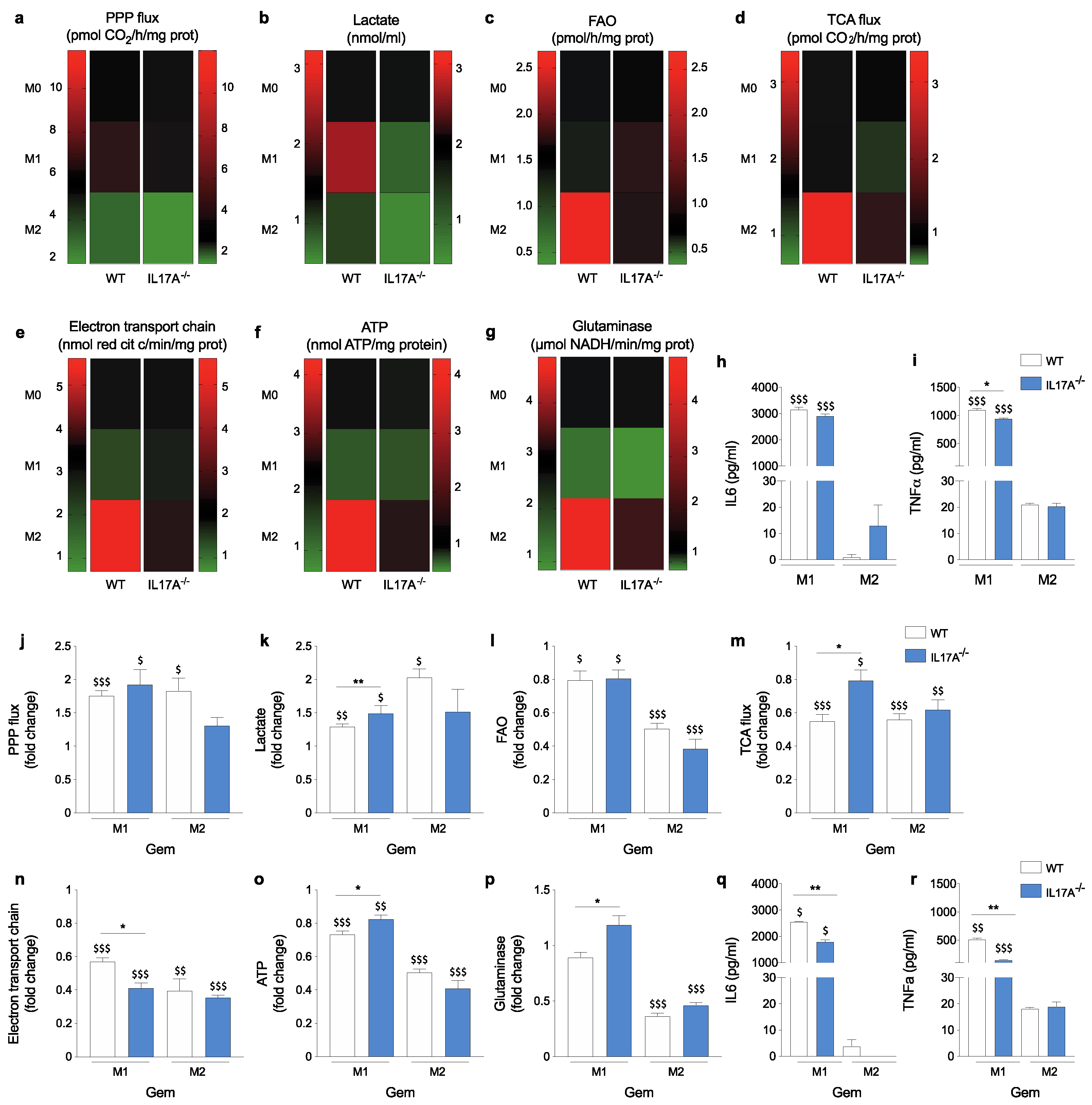 Antioxidants 10 00422 g003