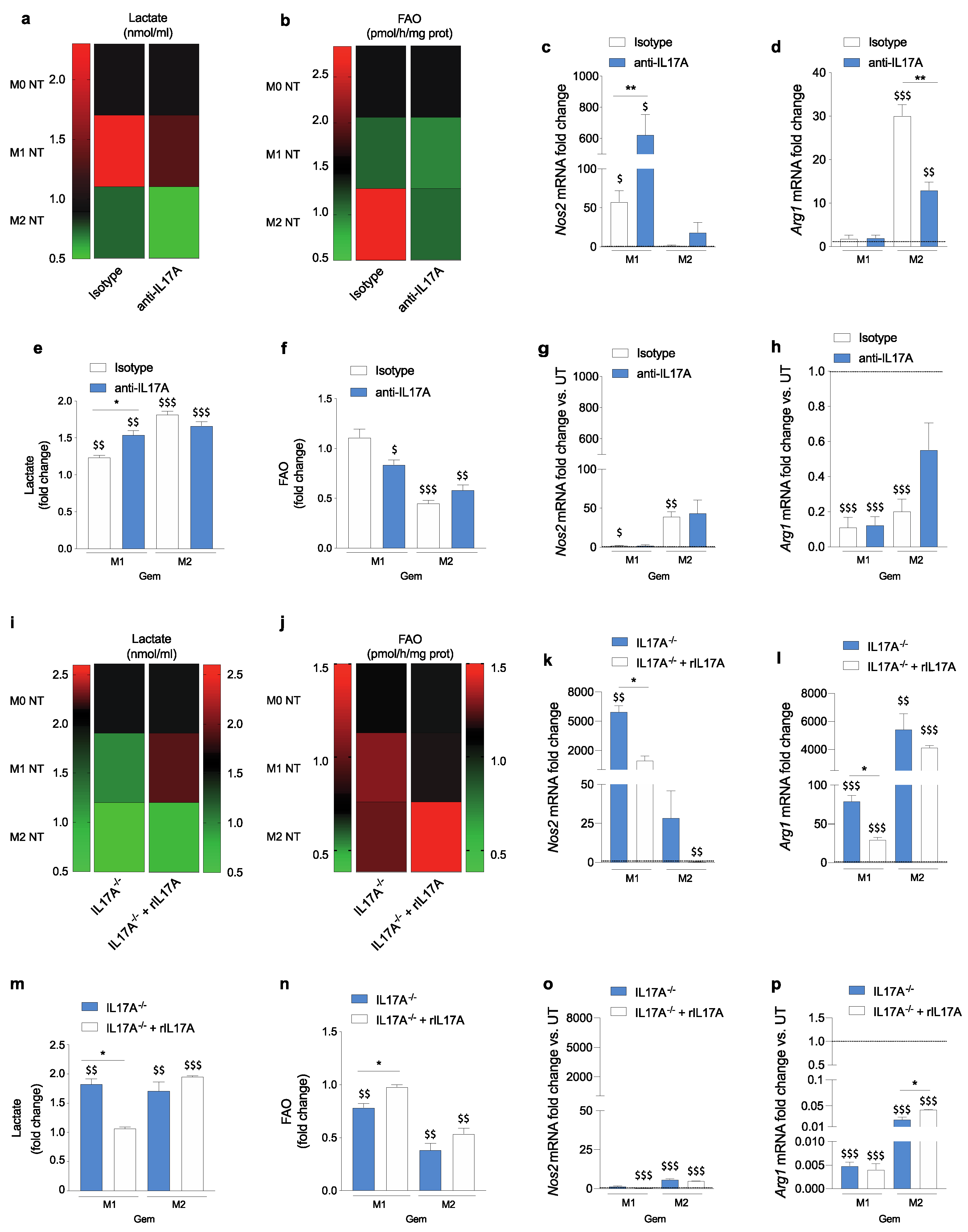 Antioxidants 10 00422 g004