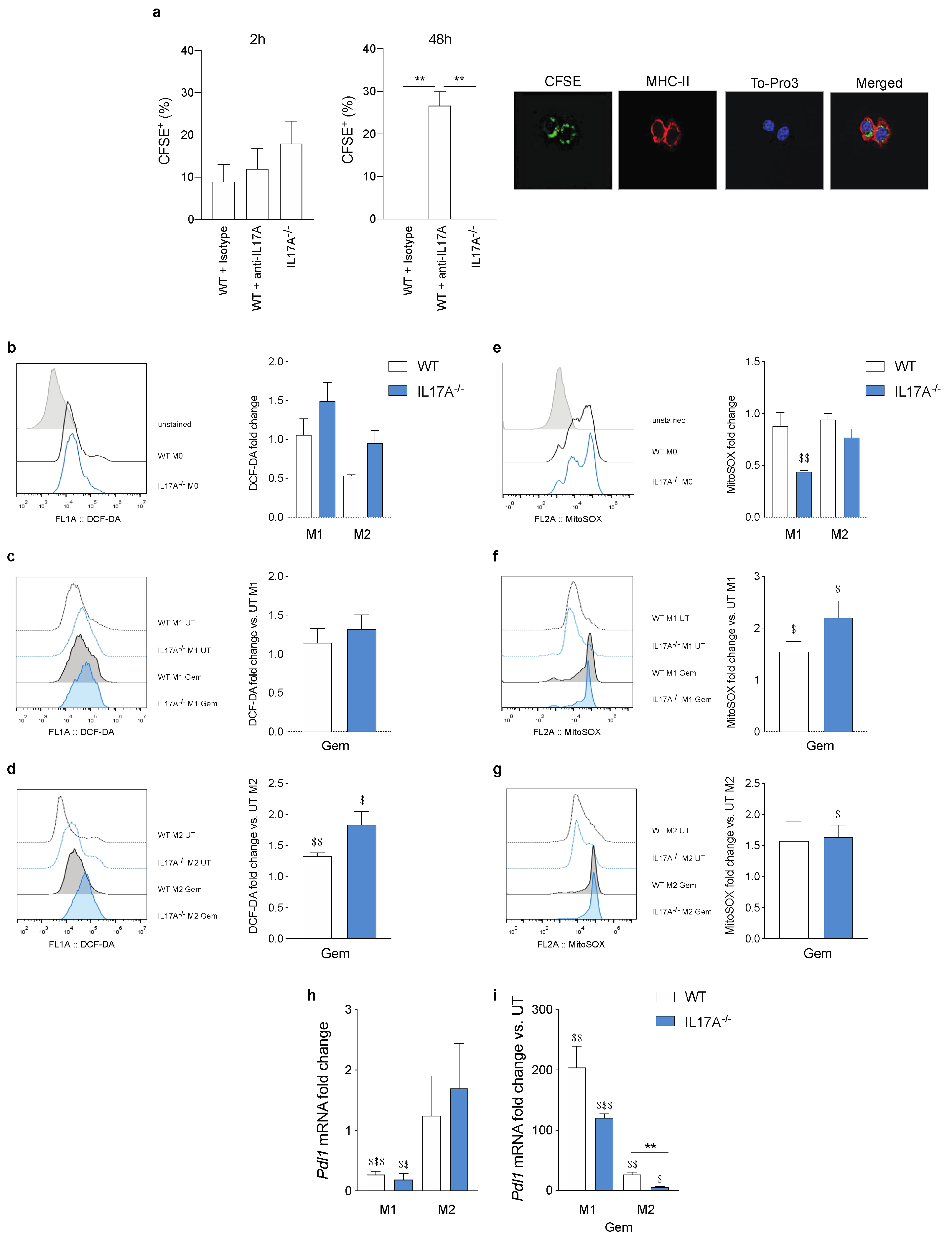 Antioxidants 10 00422 g005