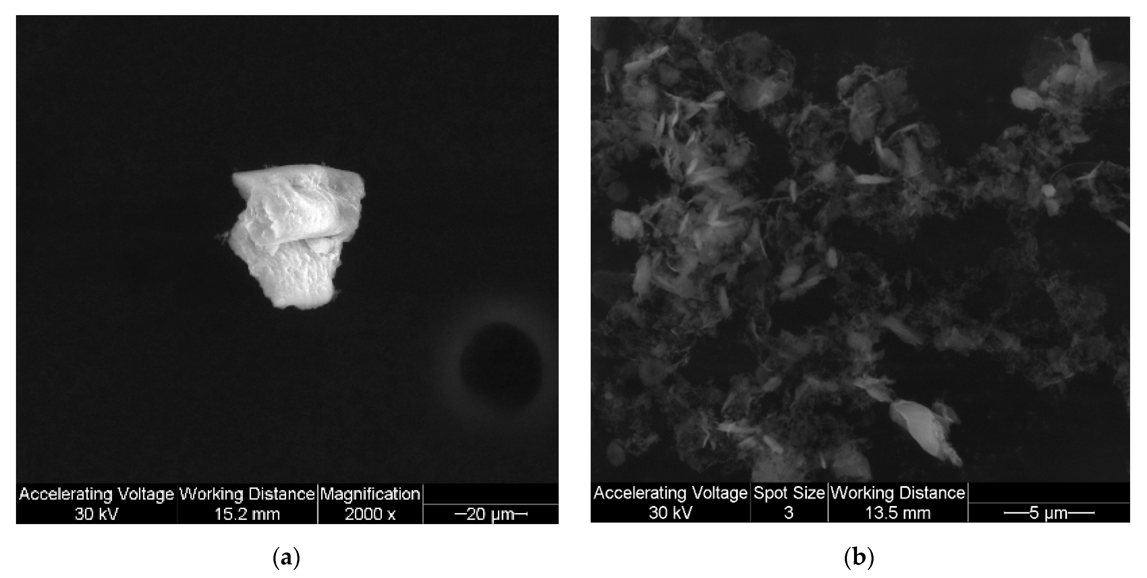 Antioxidants 10 00427 g002