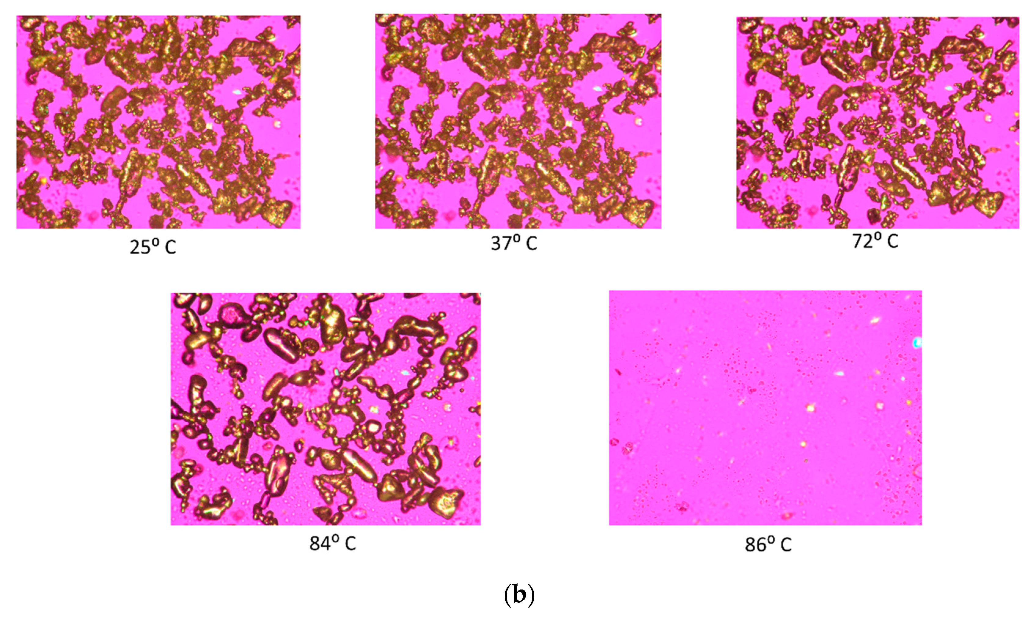 Antioxidants 10 00427 g005b