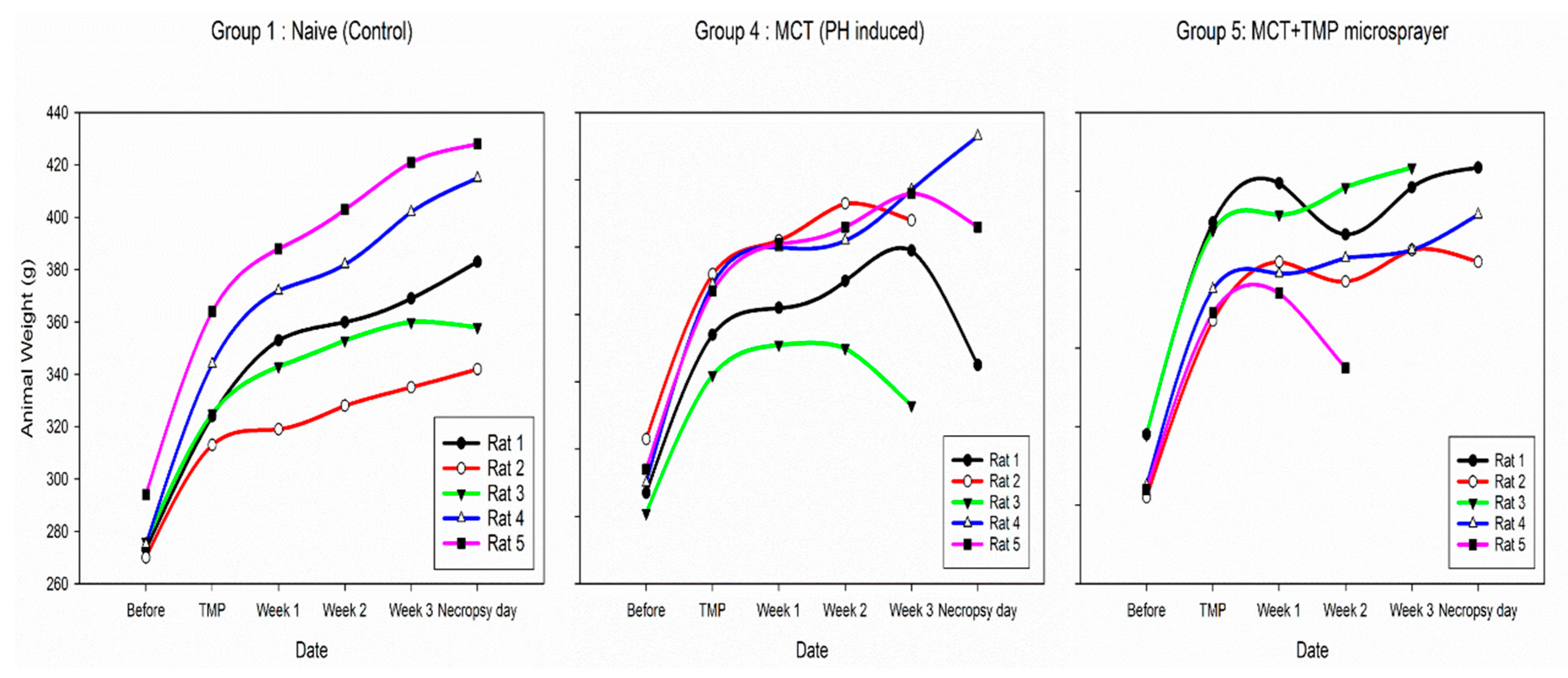 Antioxidants 10 00427 g010