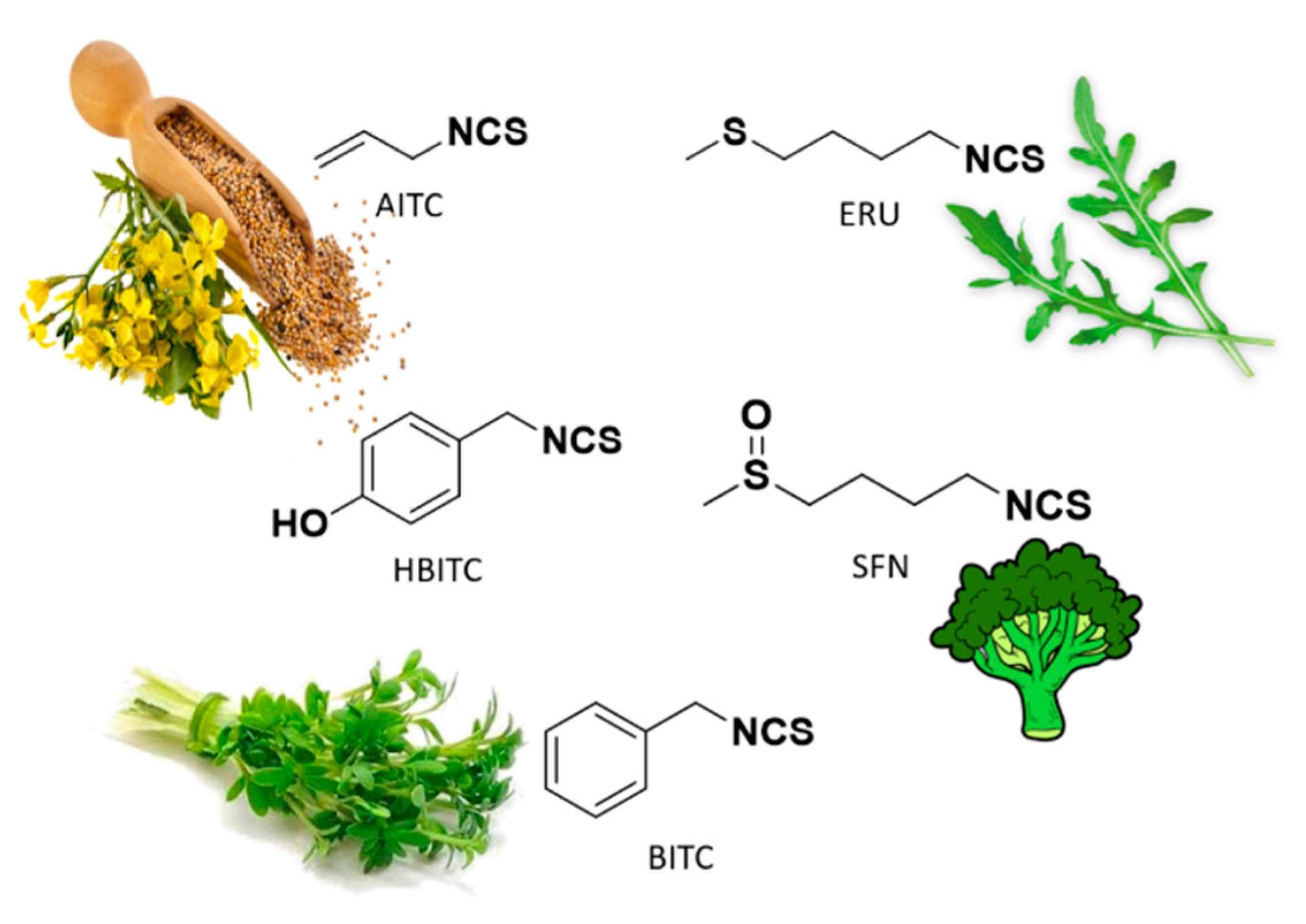 Antioxidants 10 00429 g003