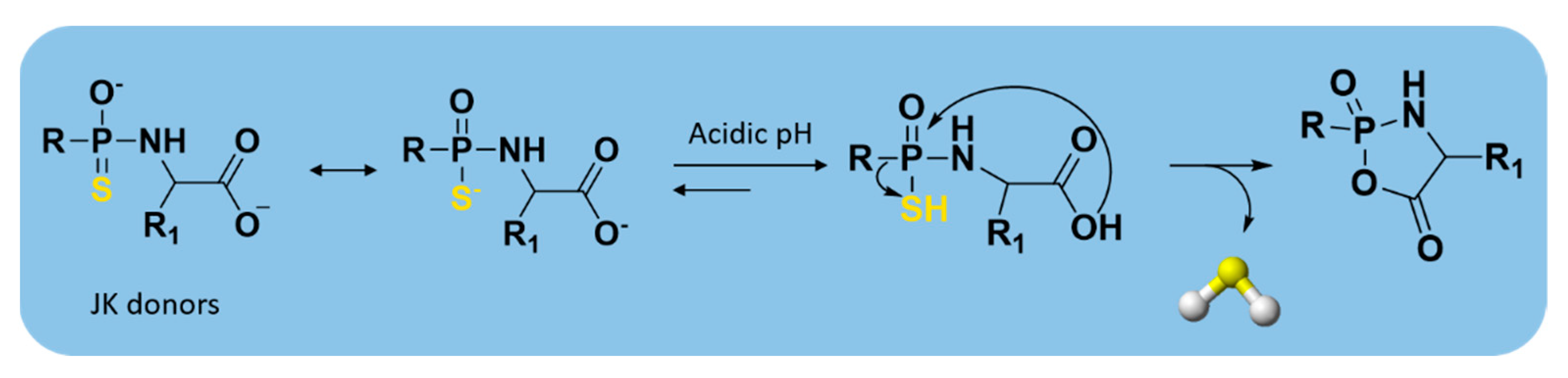 Antioxidants 10 00429 g008