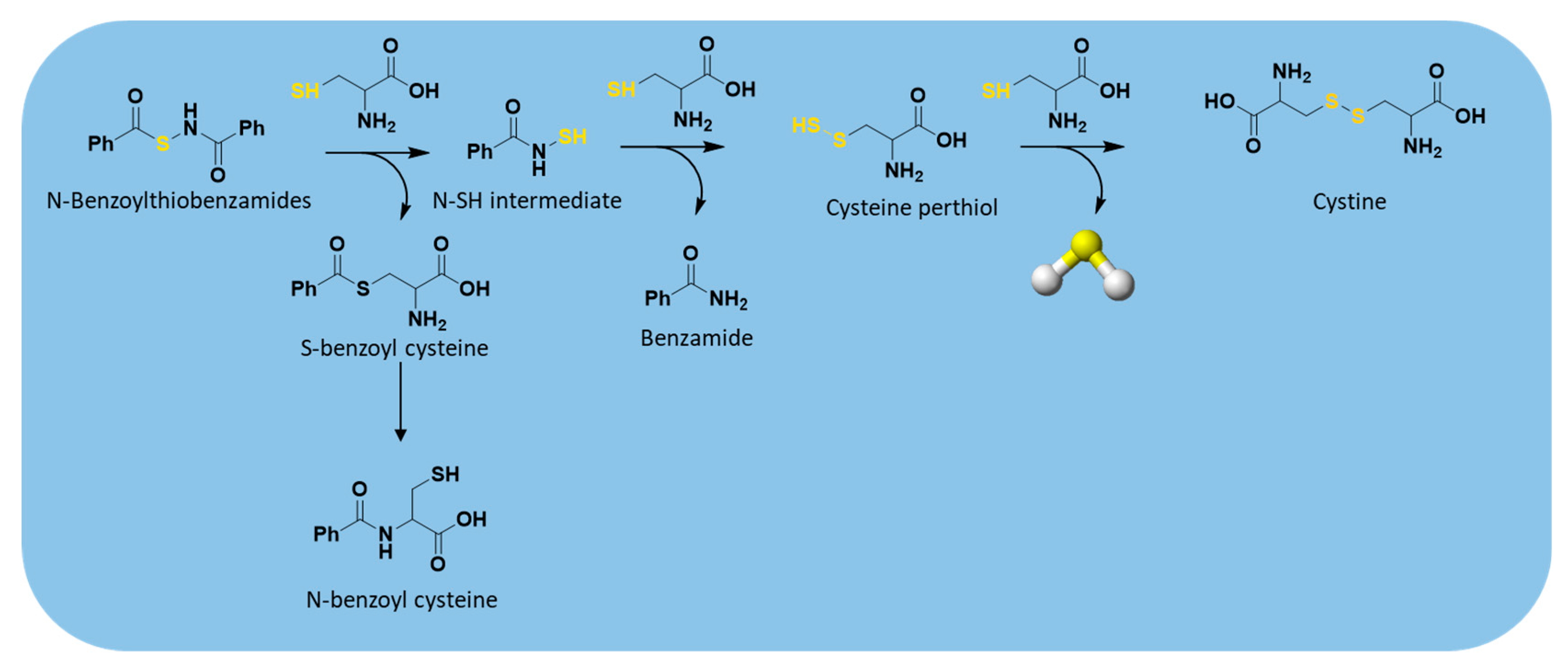 Antioxidants 10 00429 g009