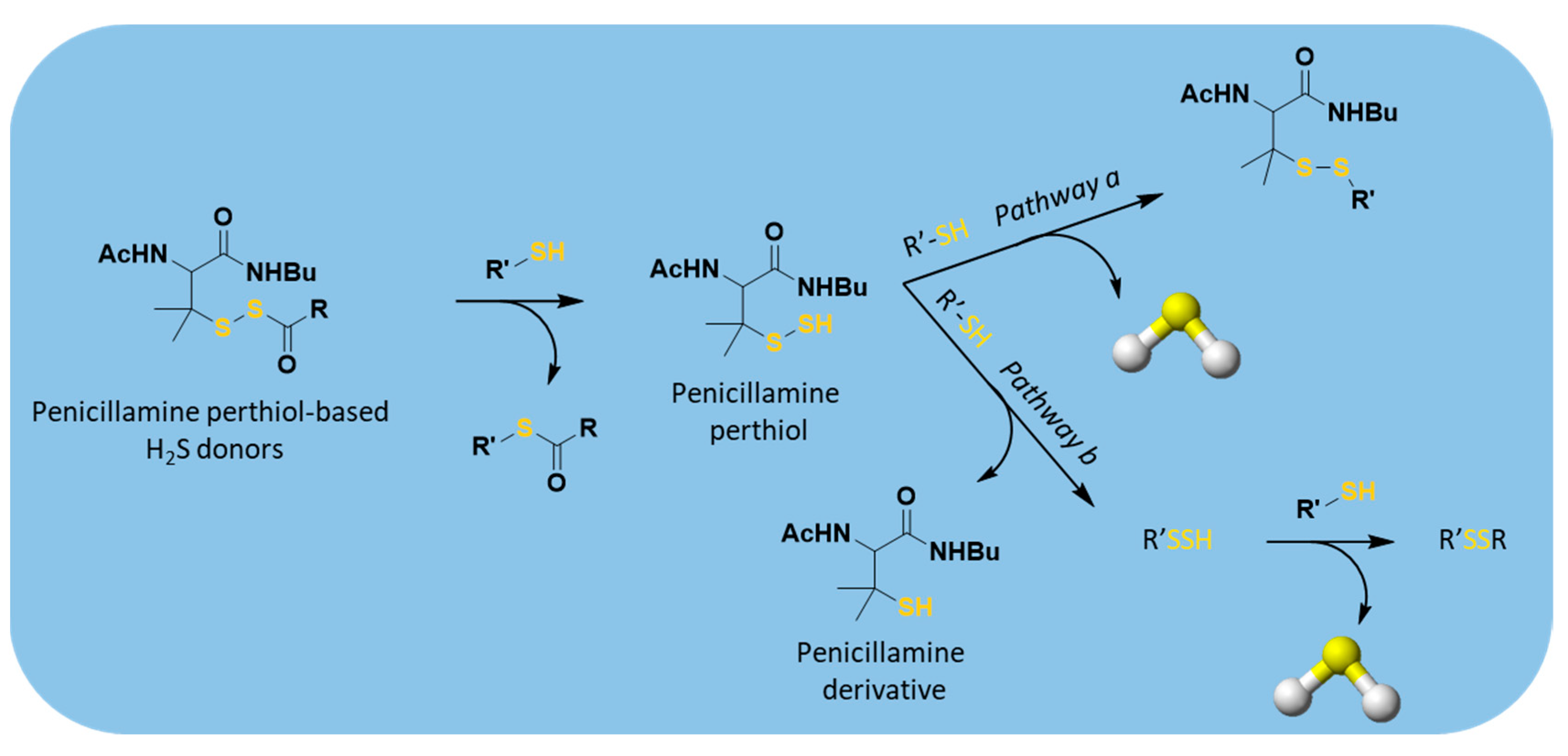 Antioxidants 10 00429 g010