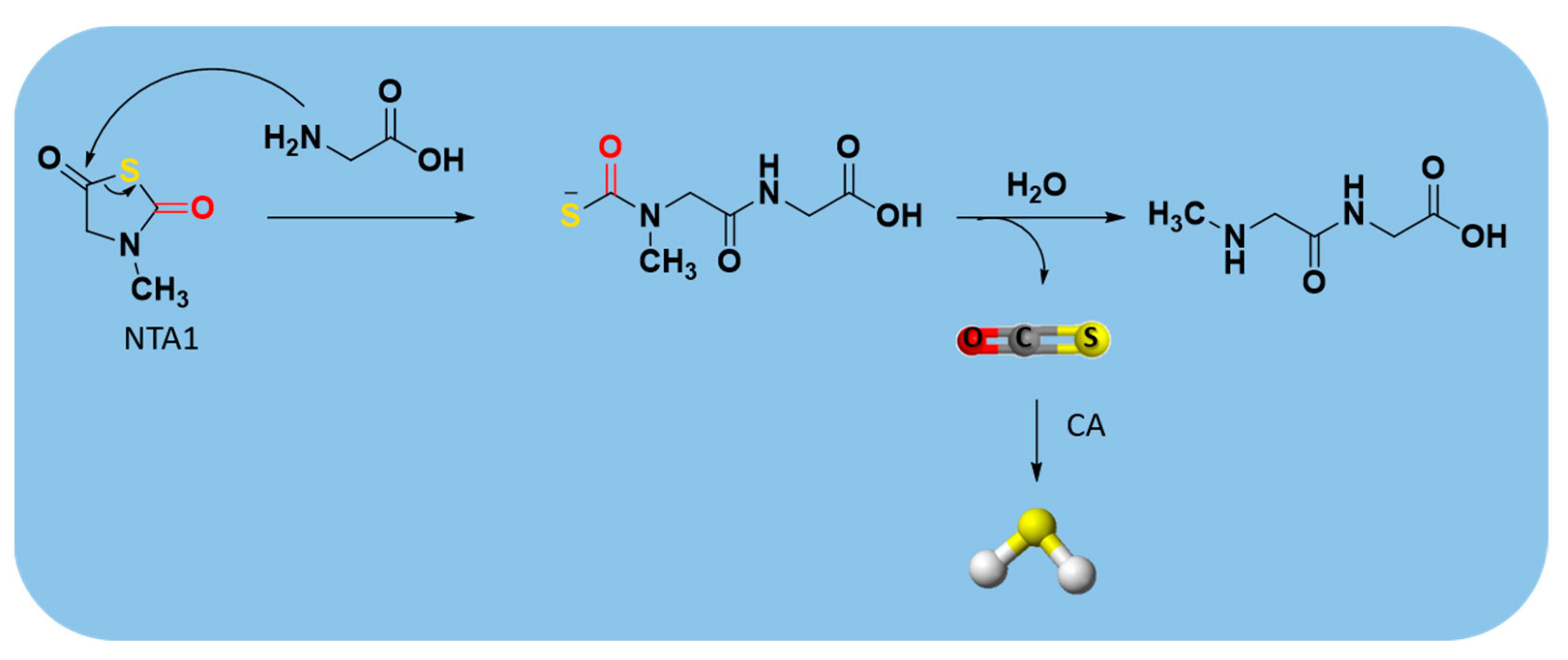 Antioxidants 10 00429 g014