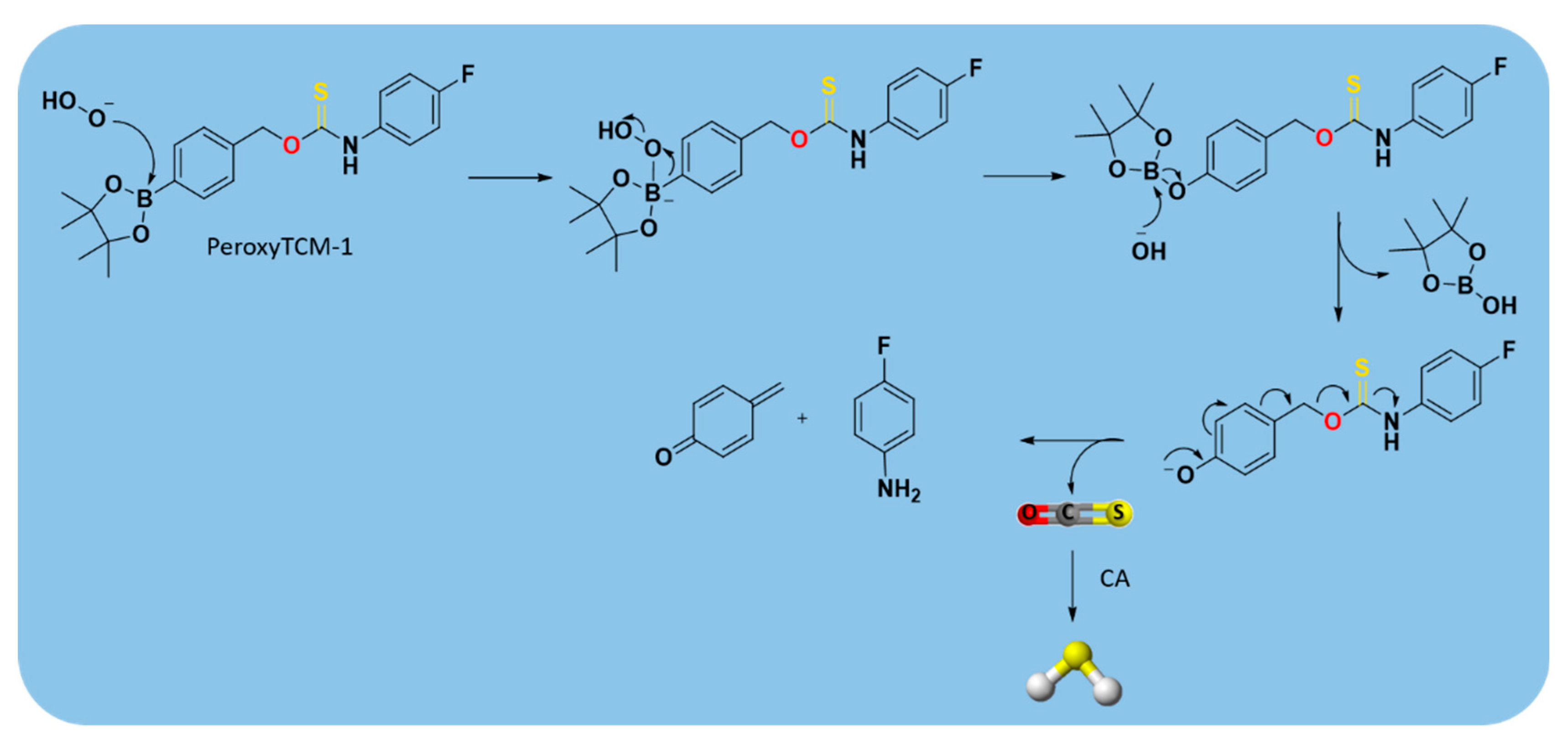 Antioxidants 10 00429 g015