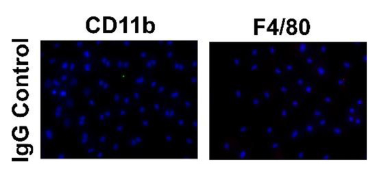 Antioxidants 10 00430 g0a1