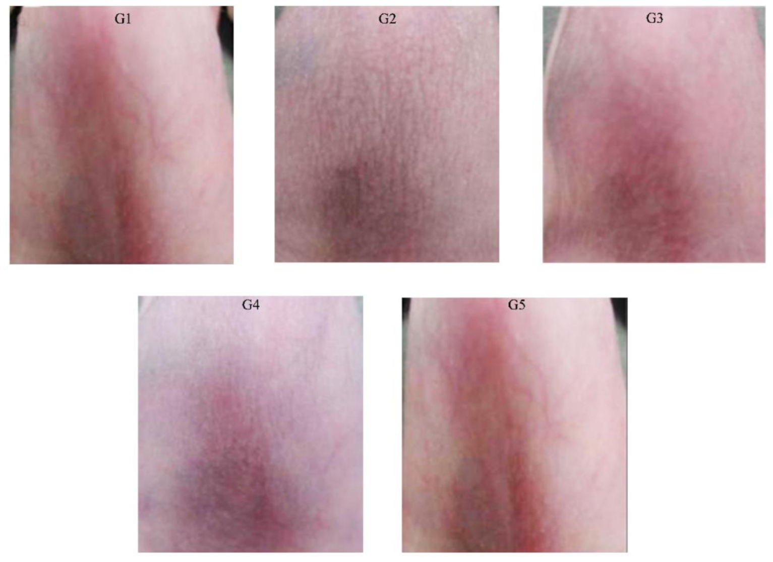 Antioxidants 10 00436 g007