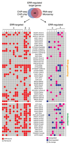 Antioxidants 10 00437 g001