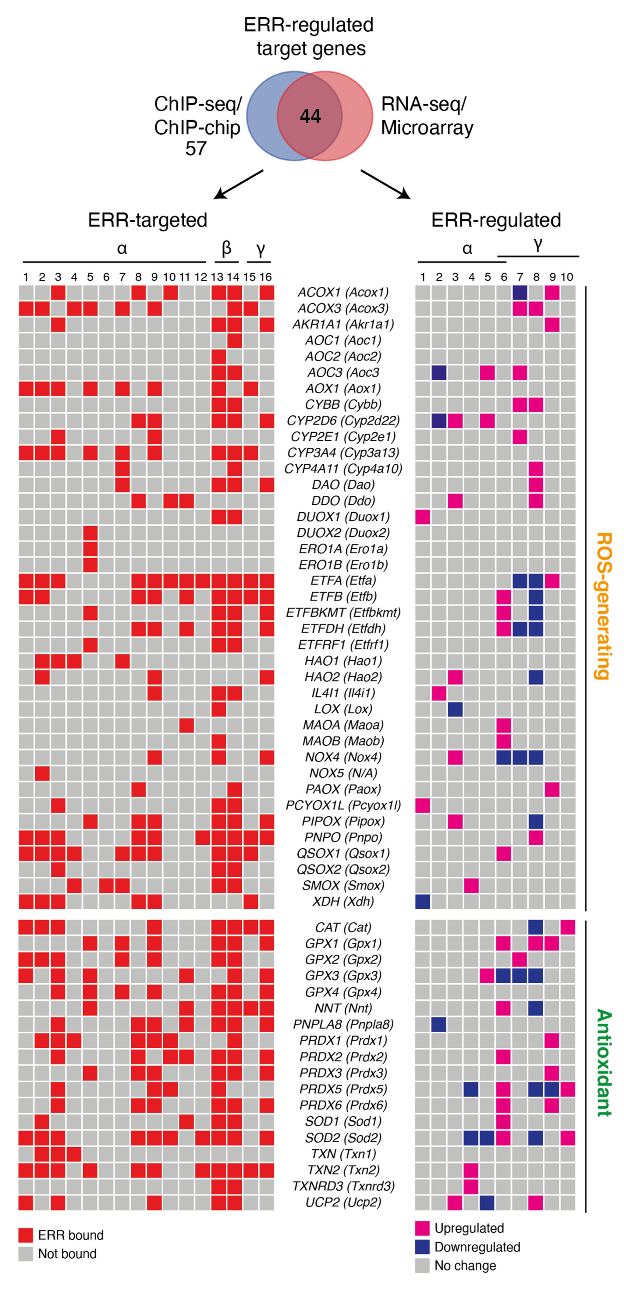 Antioxidants 10 00437 g001 Antioxidants 10 00437 g001