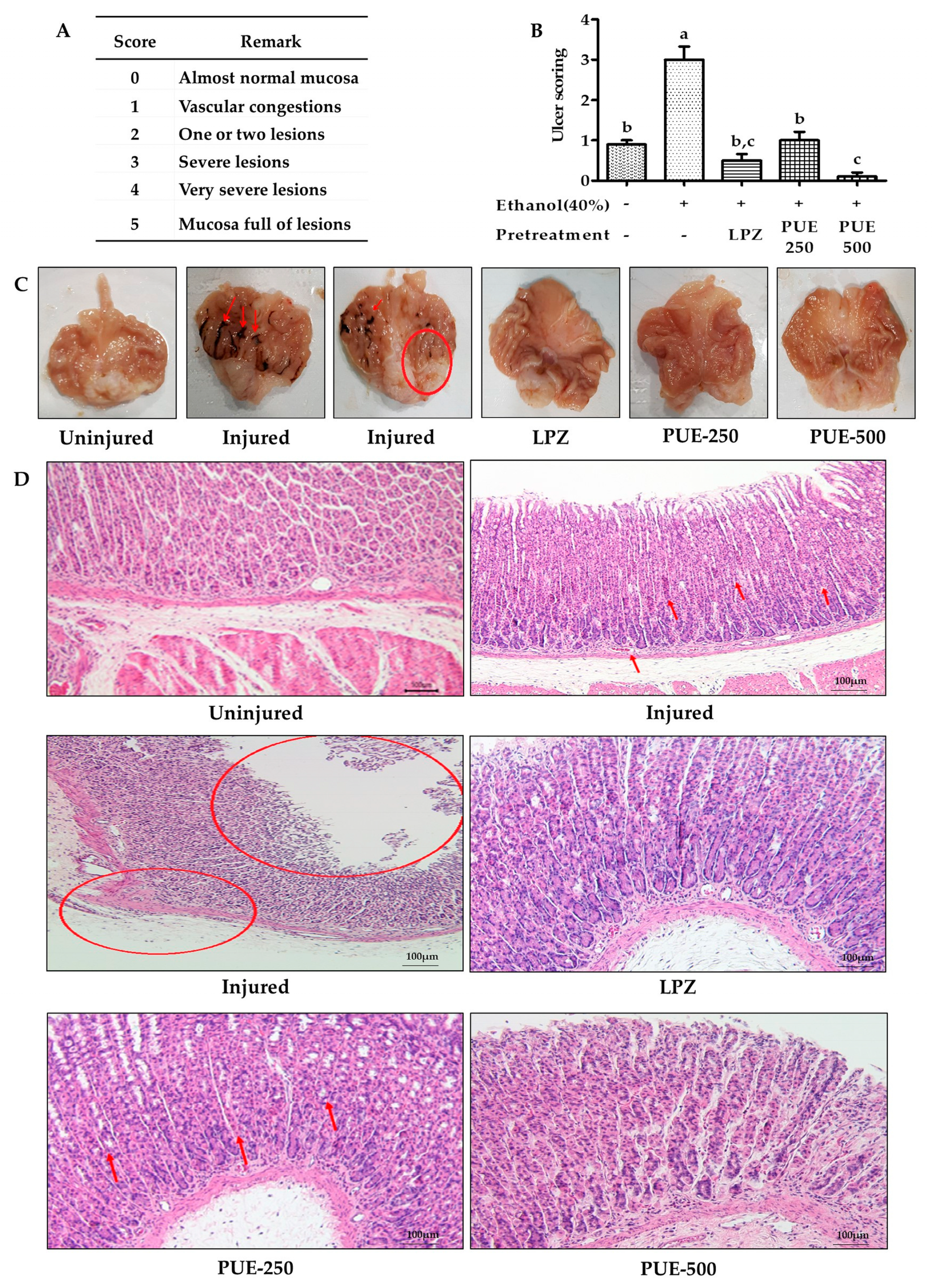 Antioxidants 10 00439 g005