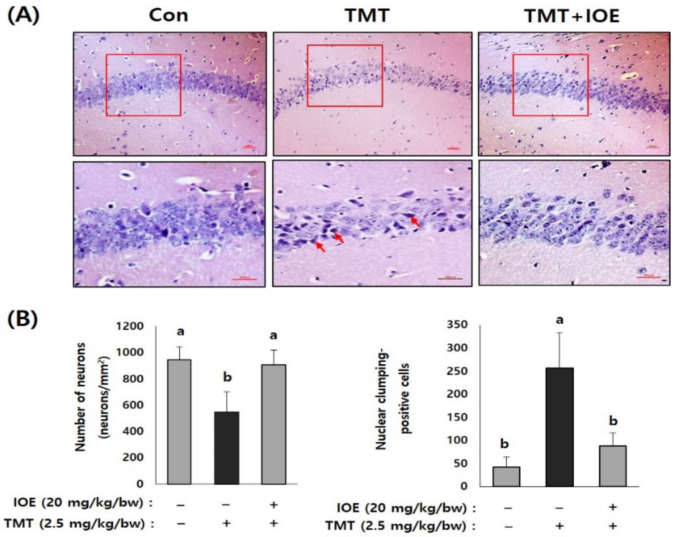 Antioxidants 10 00440 g004