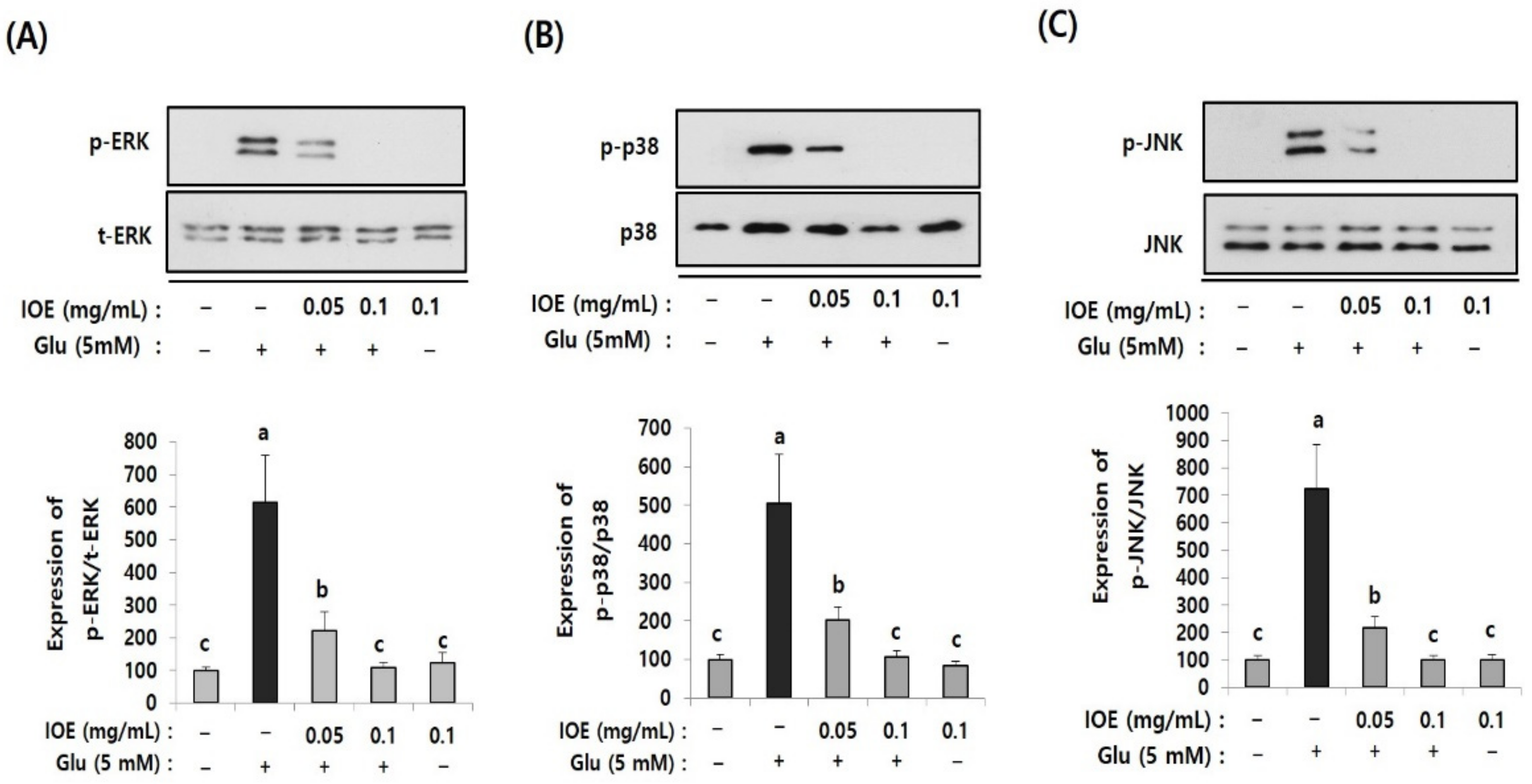 Antioxidants 10 00440 g009