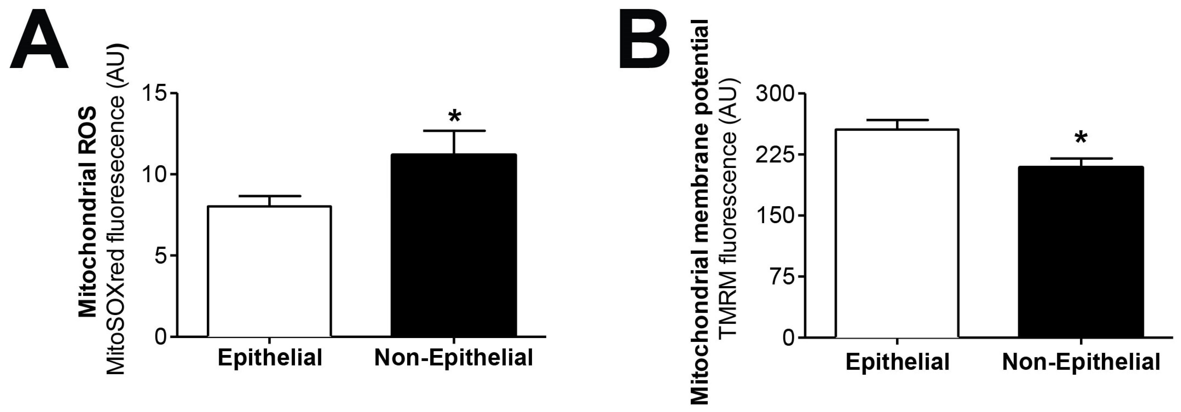 Antioxidants 10 00447 g002