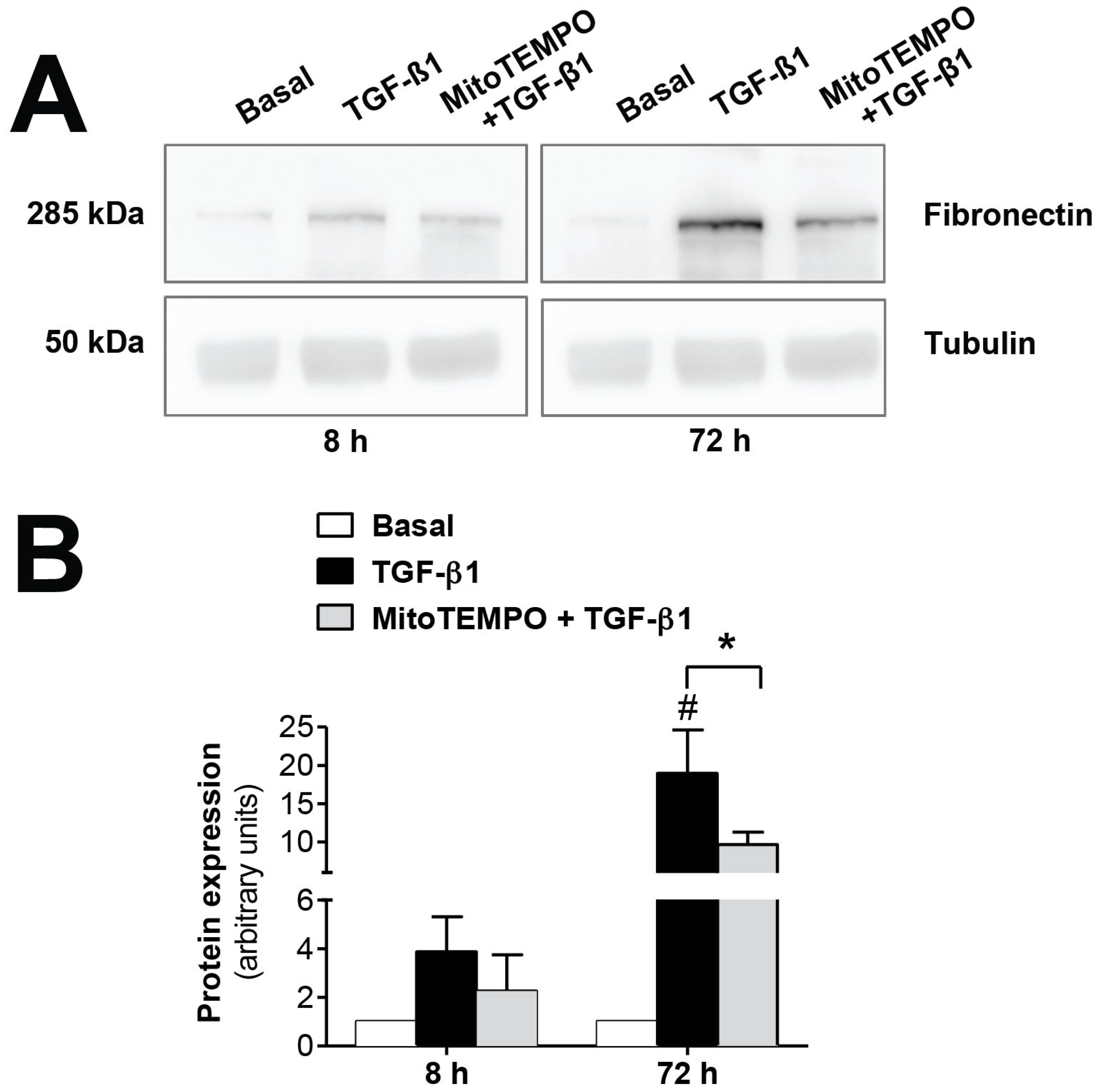 Antioxidants 10 00447 g003