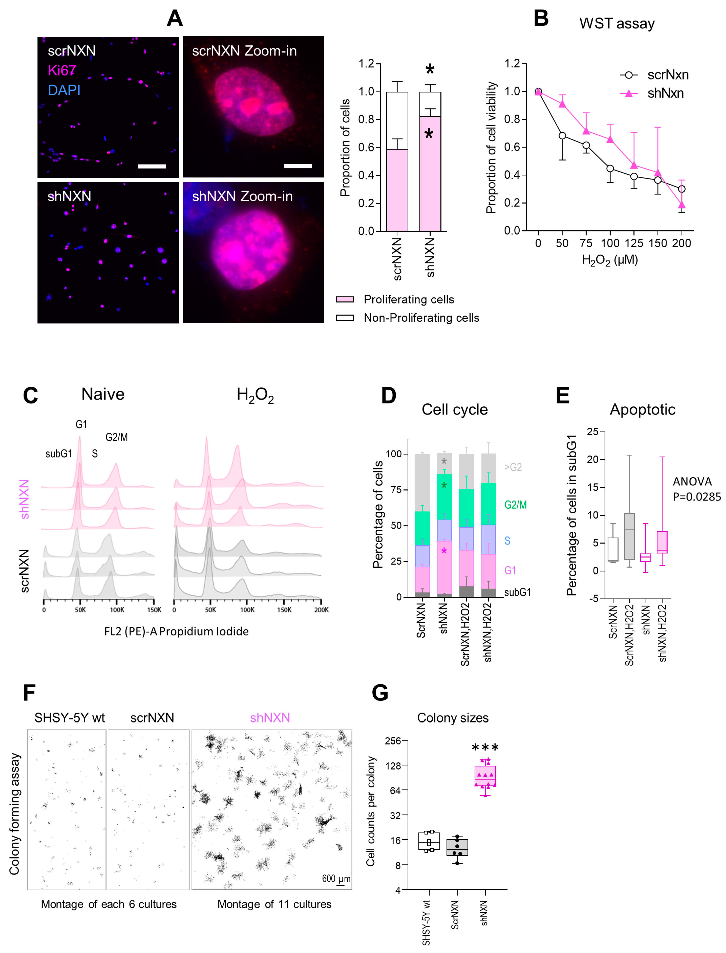 Antioxidants 10 00449 g002