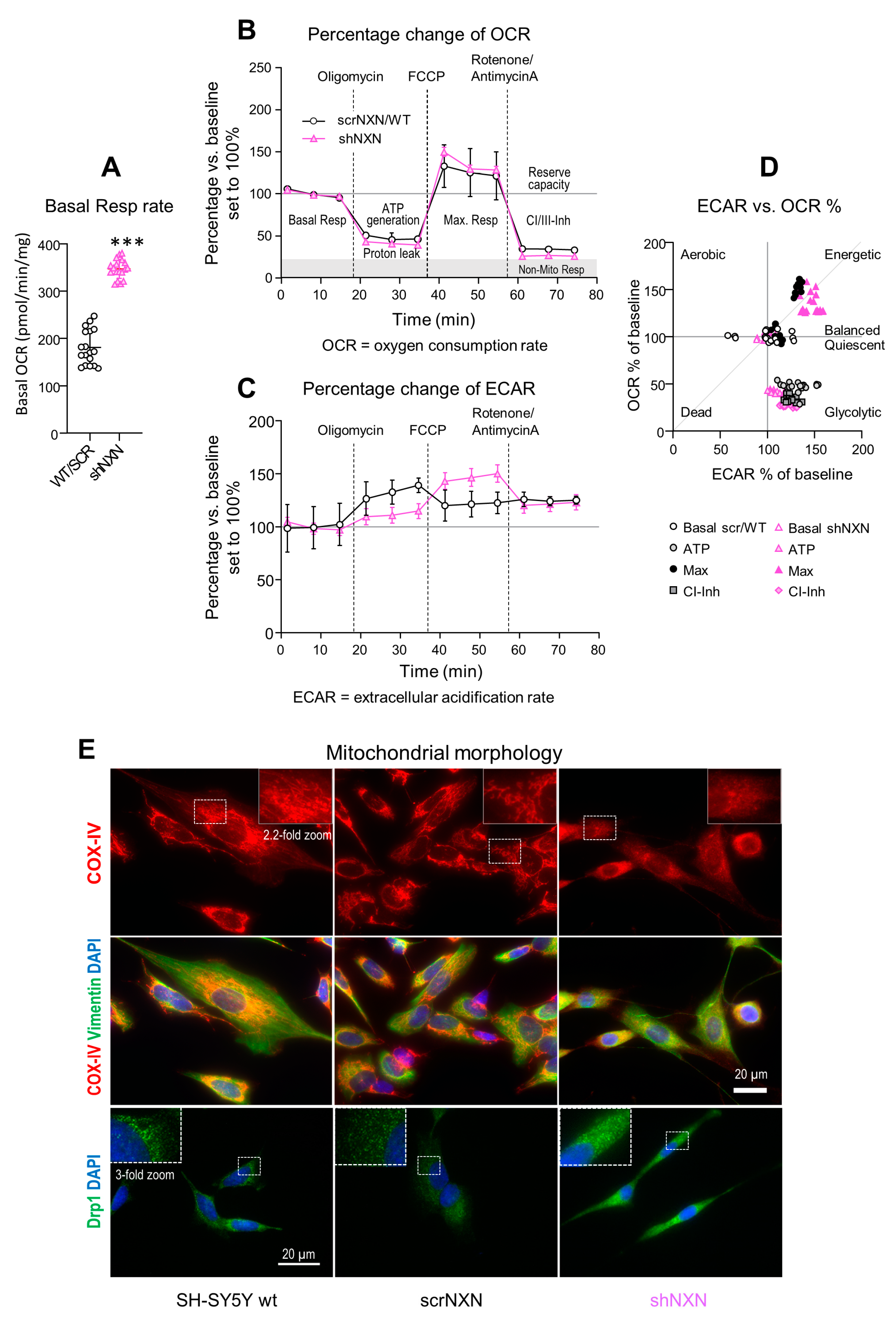 Antioxidants 10 00449 g003